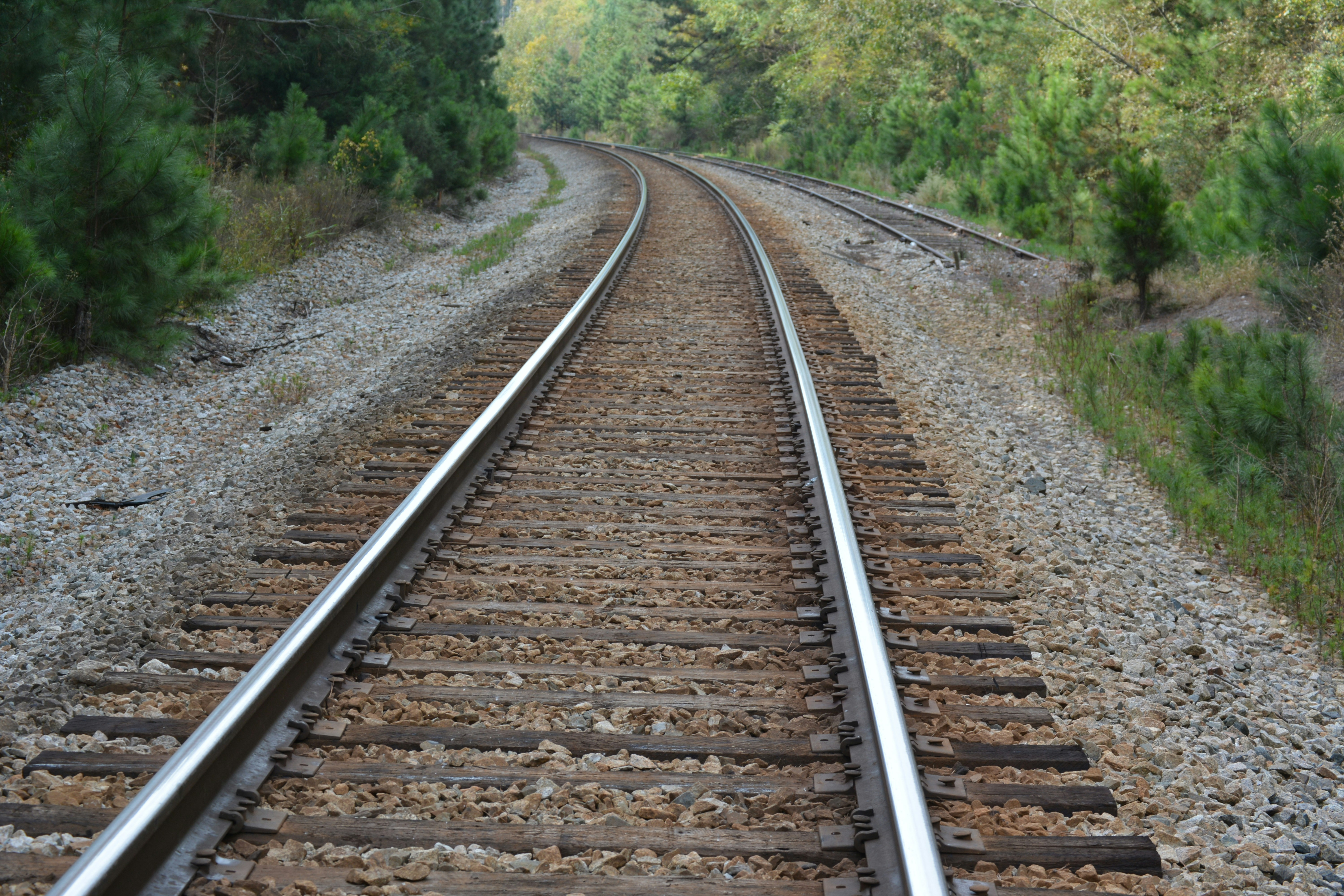 Free Unsplash photo from Brandon Thixton