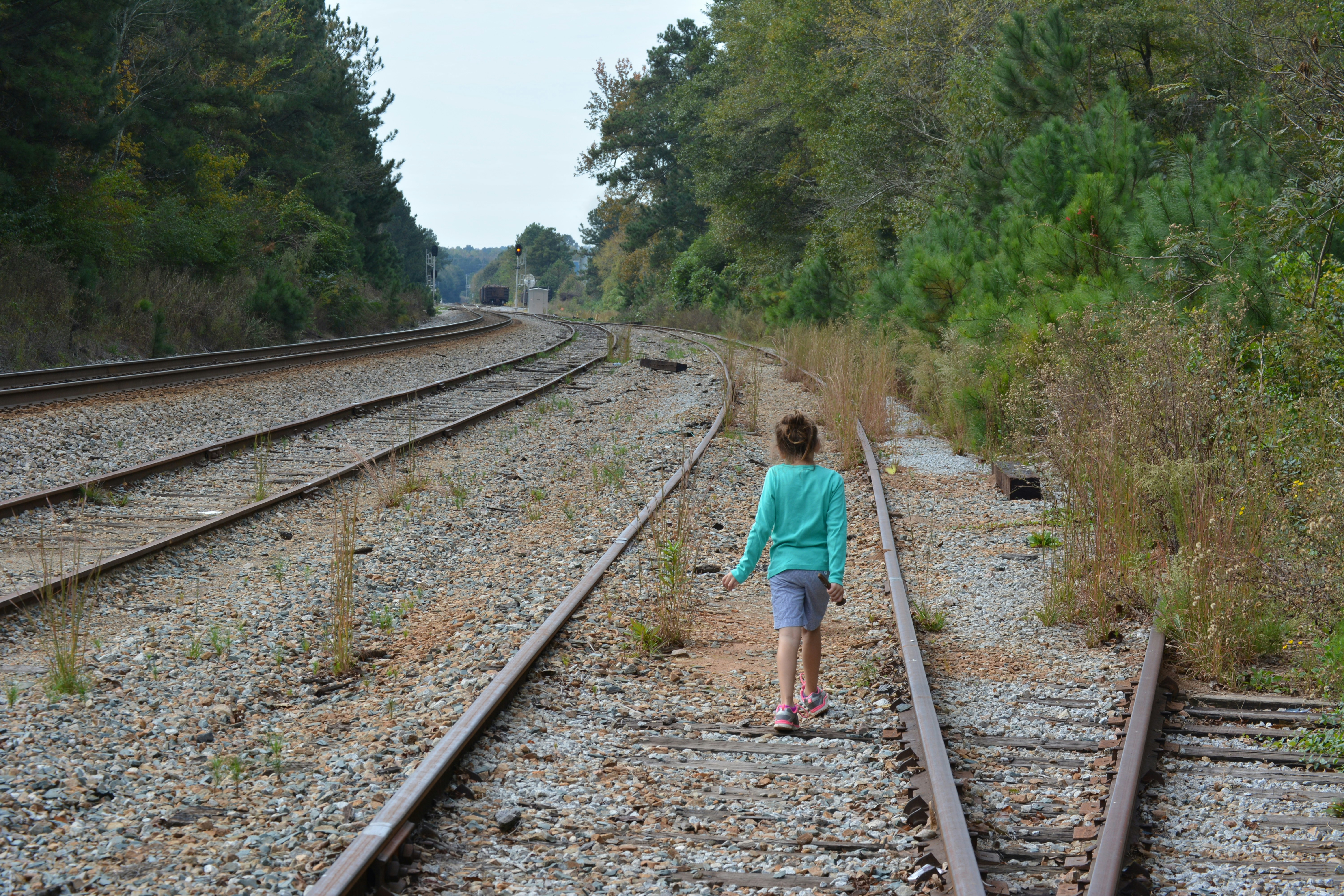 Free Unsplash photo from Brandon Thixton