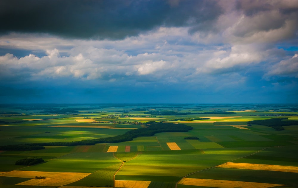 aerial photo of green and brown field