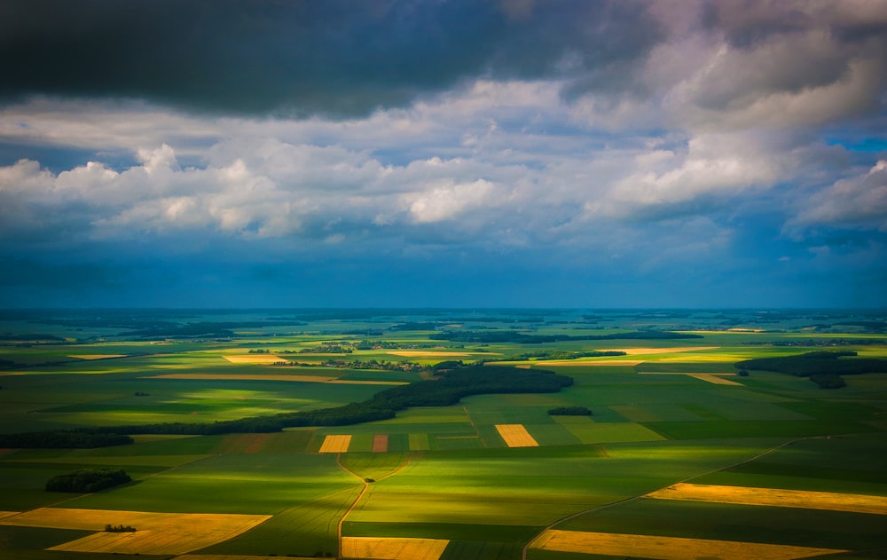 緑と茶色の野原の航空写真