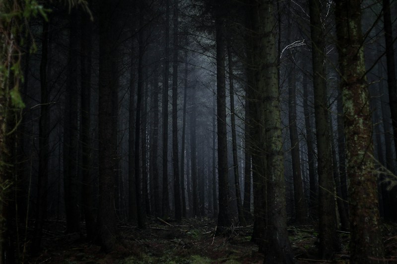 Coping with Seasonal Depression (SAD): Light, Lifestyle, and Treatment