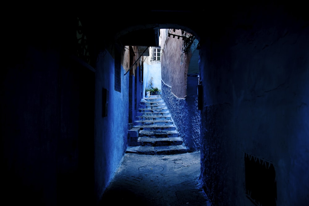 concrete pathway between house