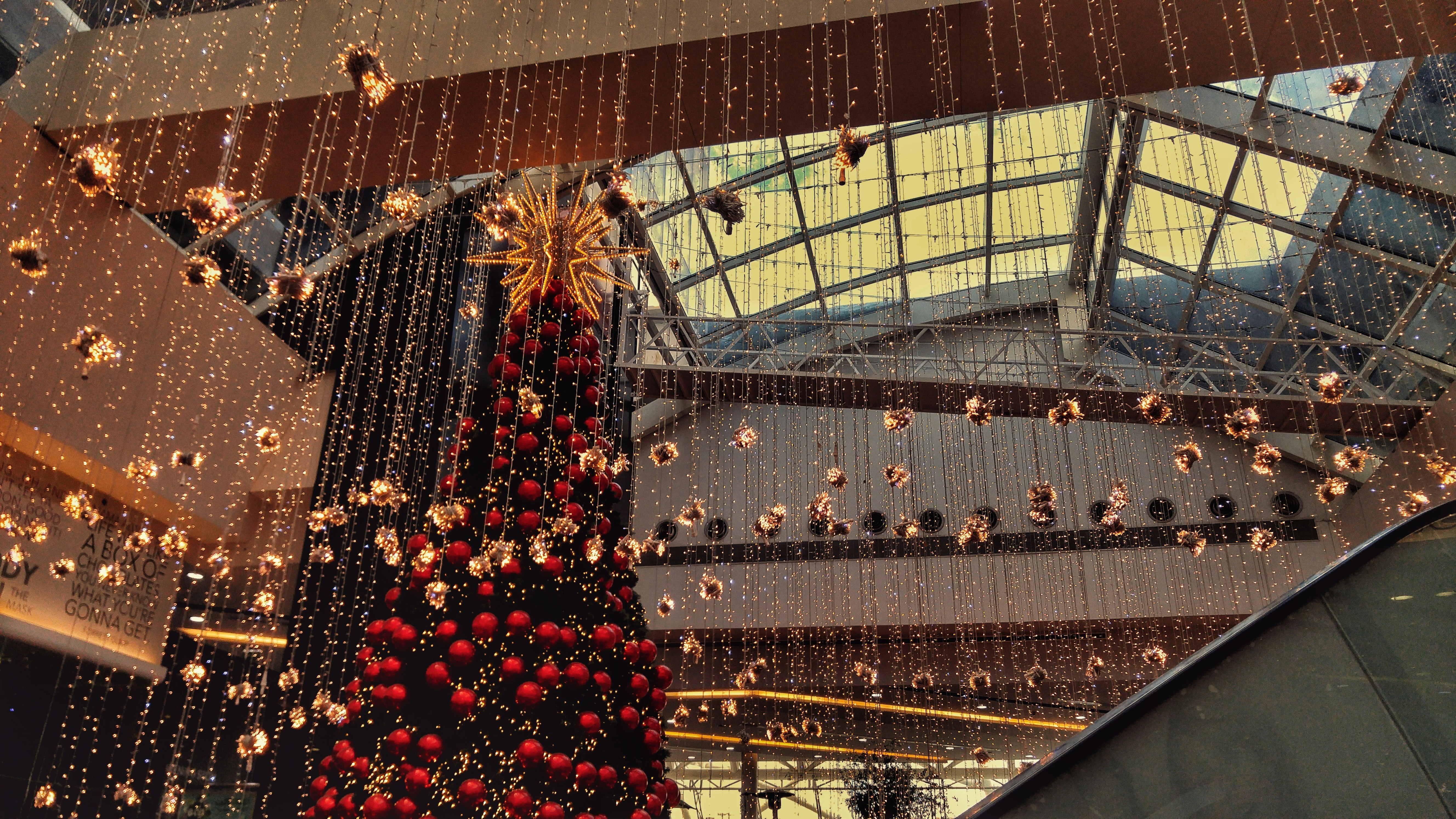 Free Unsplash photo from Patricia Jekki