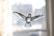 A crystal sculpture of a bird with outstretched wings, set against a softly blurred background. The intricate facets of the crystal play with the light, creating reflections and highlighting the bird's detailed design.