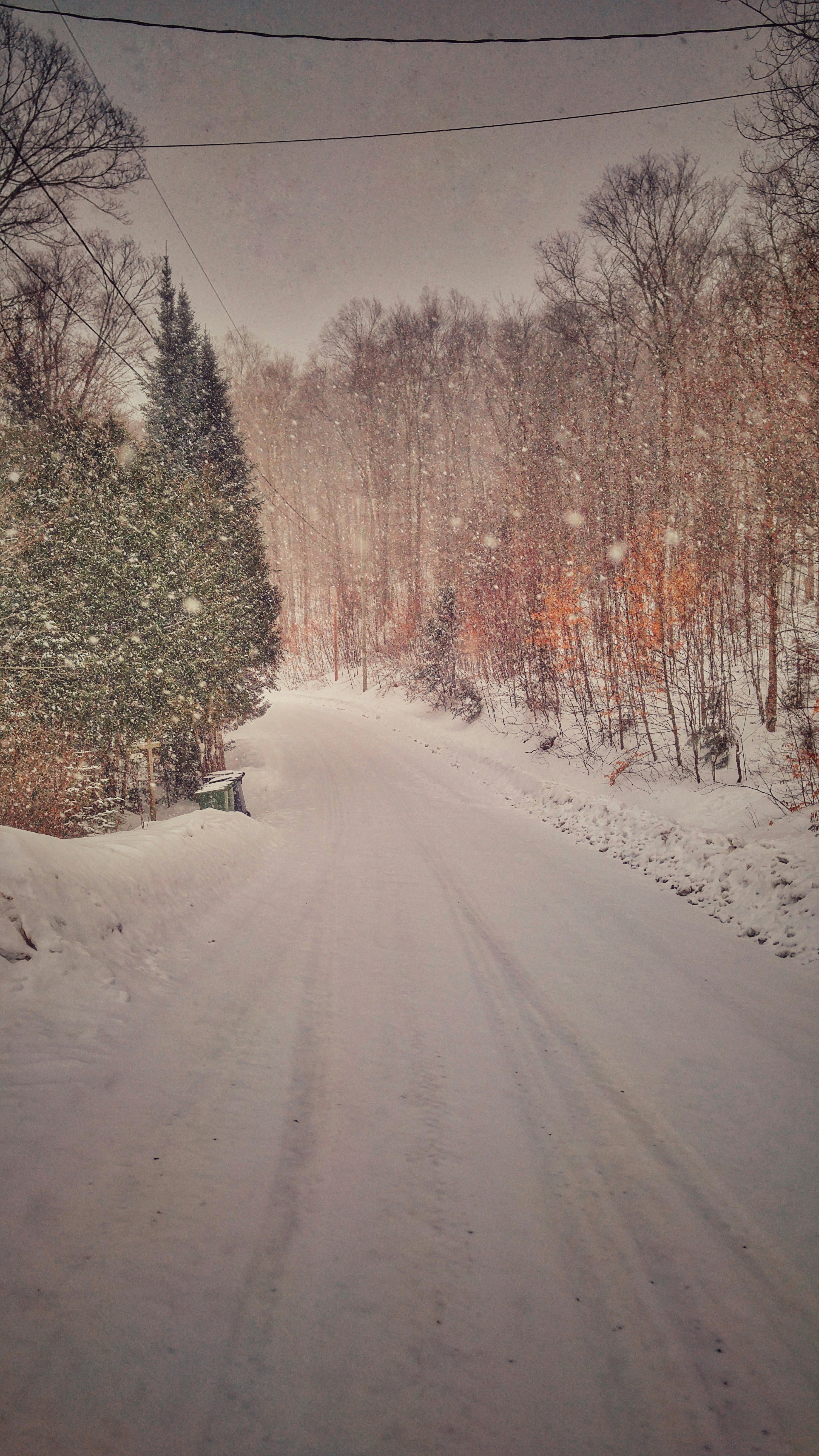 Free Unsplash photo from Patricia Jekki