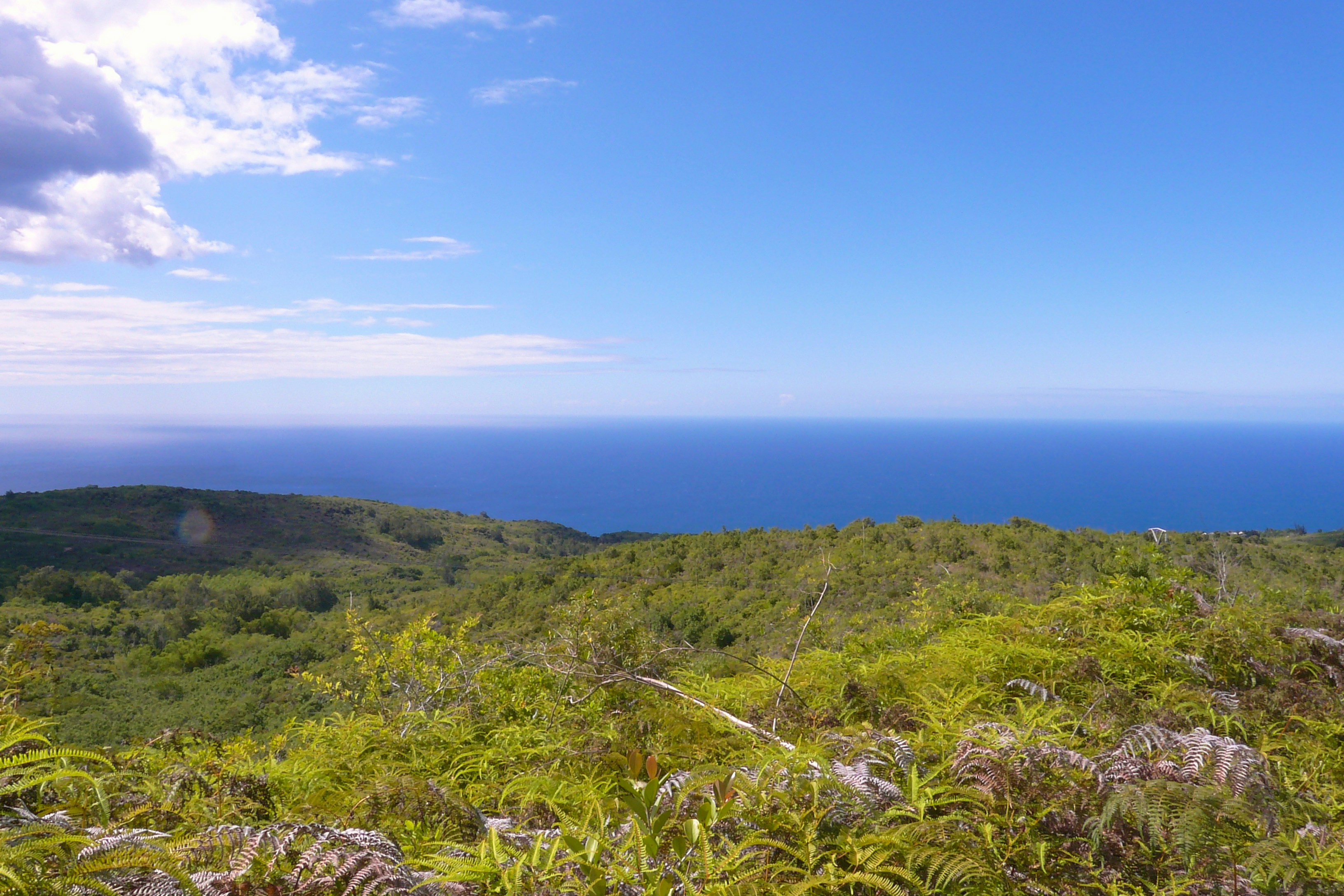 Free Unsplash photo from Robert Emmanuel