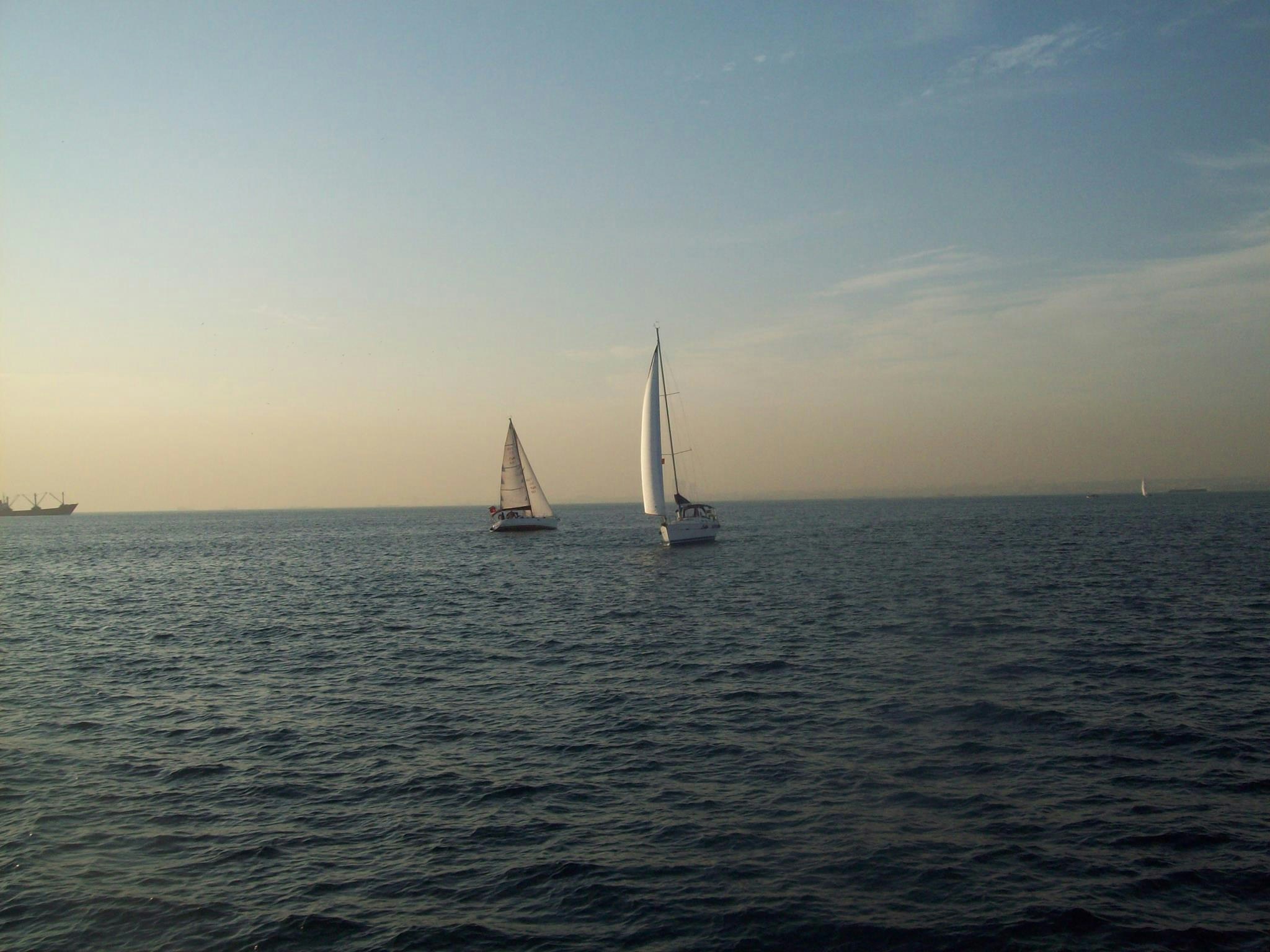 Free Unsplash photo from Eya  Ben Jebara