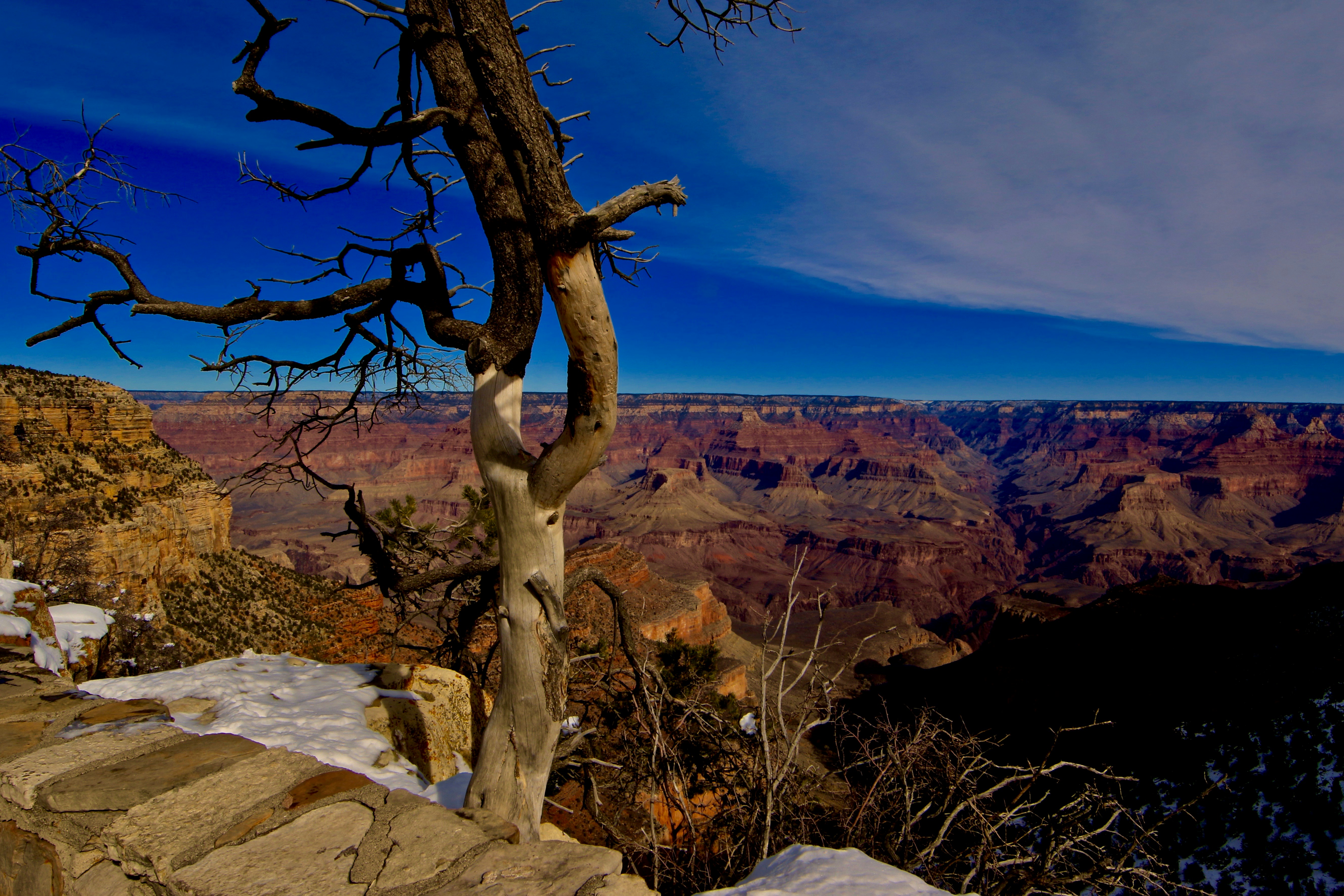 Free Unsplash photo from Jordi Zamora