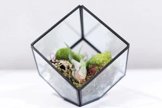 Artisan carefully arranging living plant cuttings into a moss and mirror menagerie.