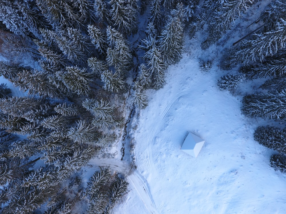 aerial view of snow capped forest