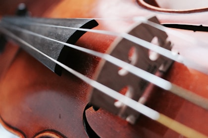 Close-up view of a violin showing its strings, bridge, and wooden body with a focus on the intricate details of the instrument.