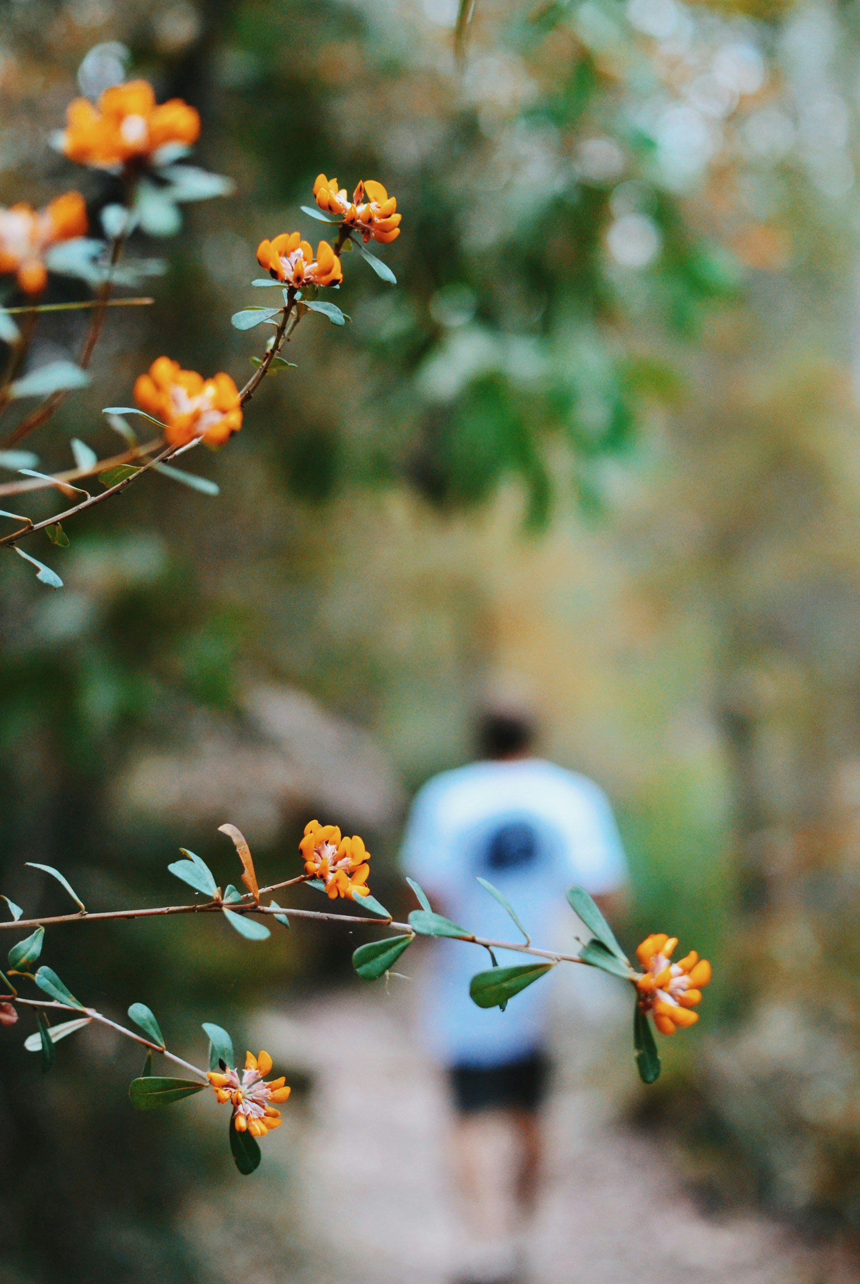 Free Unsplash photo from Emmy Smith