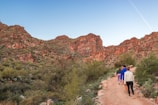 A group of hikers exploring a winding desert trail under a clear blue sky.