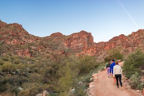 A group of hikers exploring a winding desert trail under a clear blue sky.
