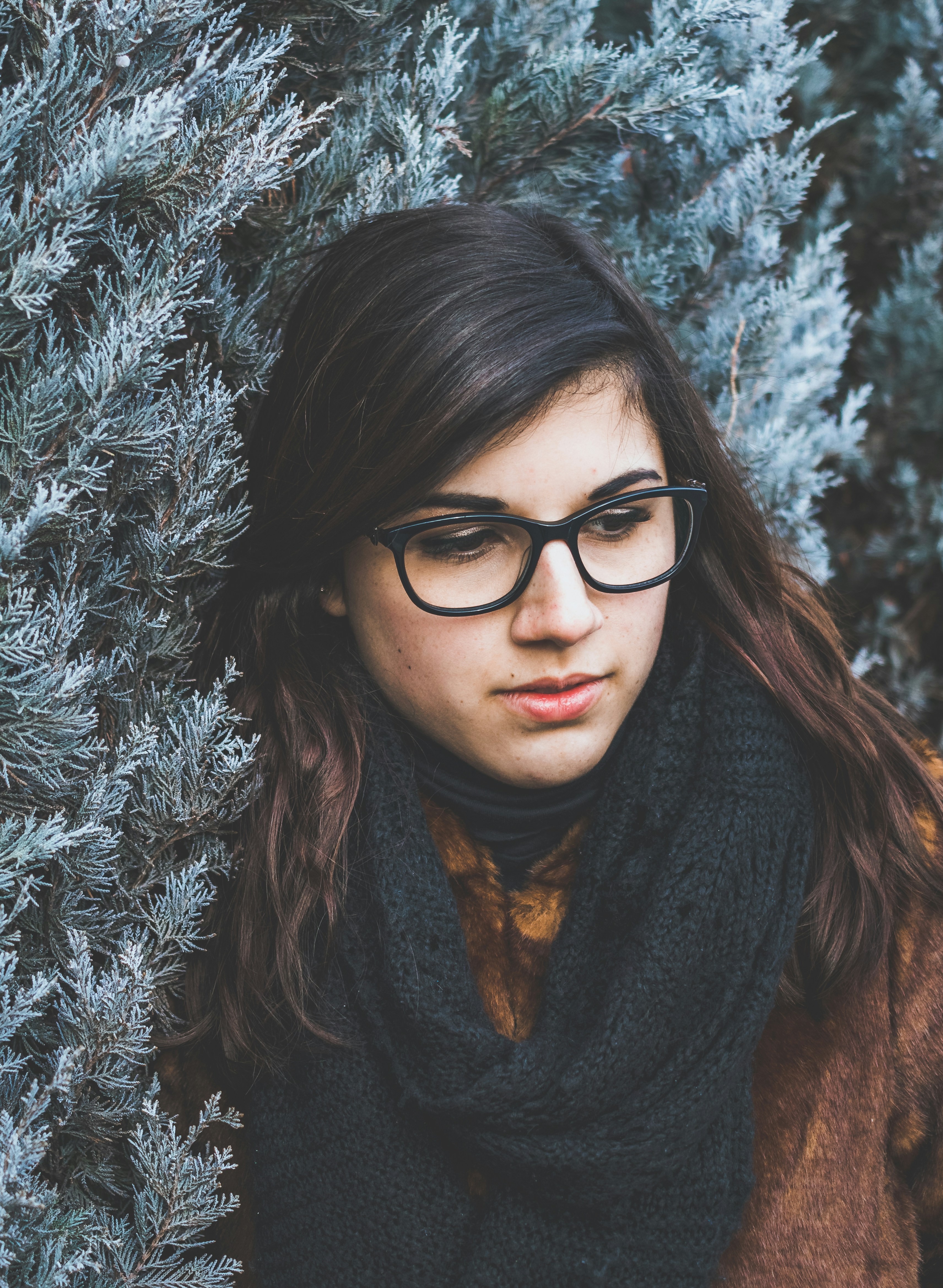 Free Unsplash photo from Alex Iby