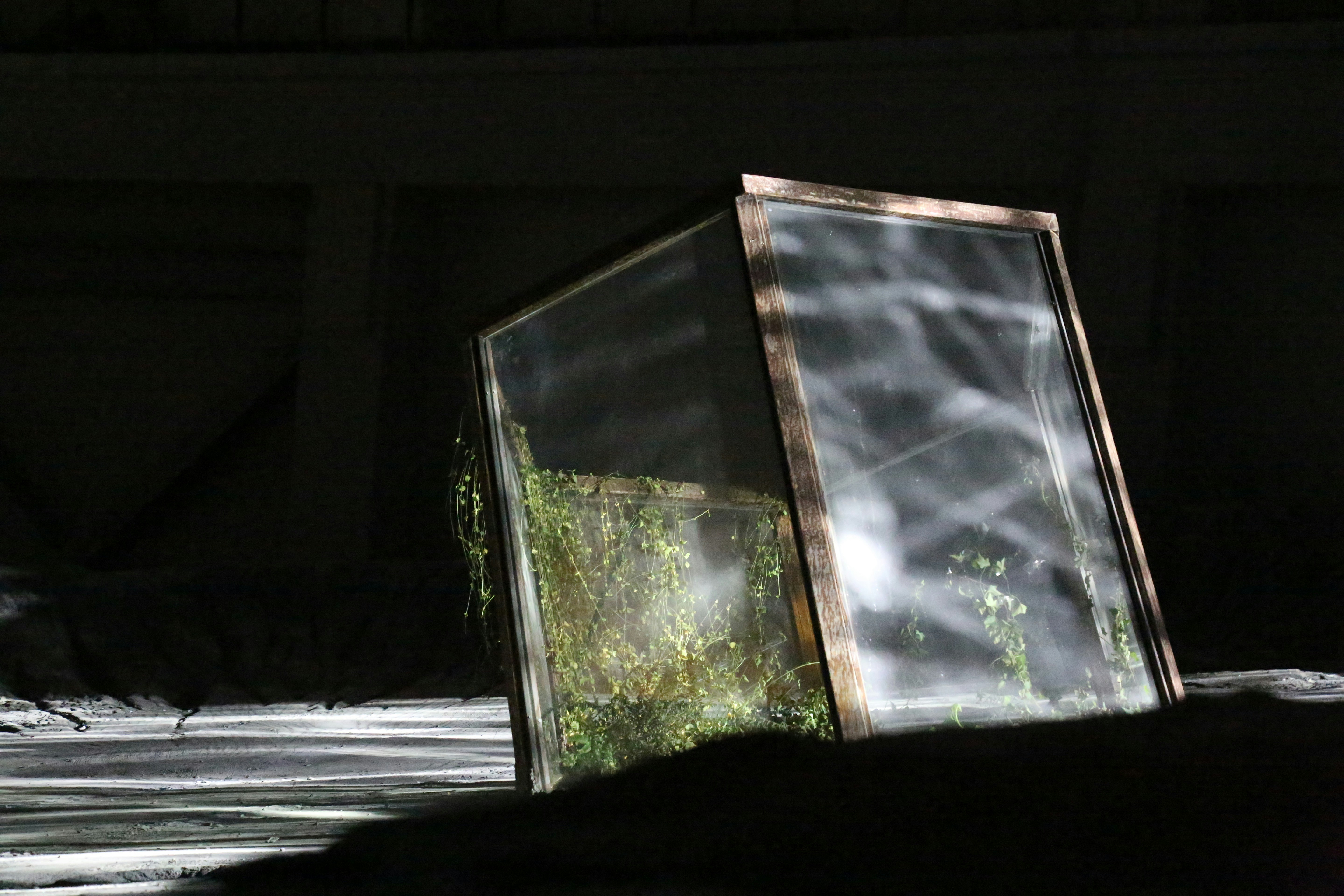 Winter gardening cold climate - Reflective surfaces maximizing sunlight