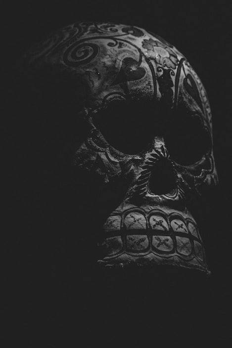 A close-up view of a detailed, intricately patterned skull, predominantly in black and white. The surface is adorned with swirling designs and symbols, creating a mysterious and gothic aesthetic. The shadows emphasize the contours and engravings, adding depth to the image.