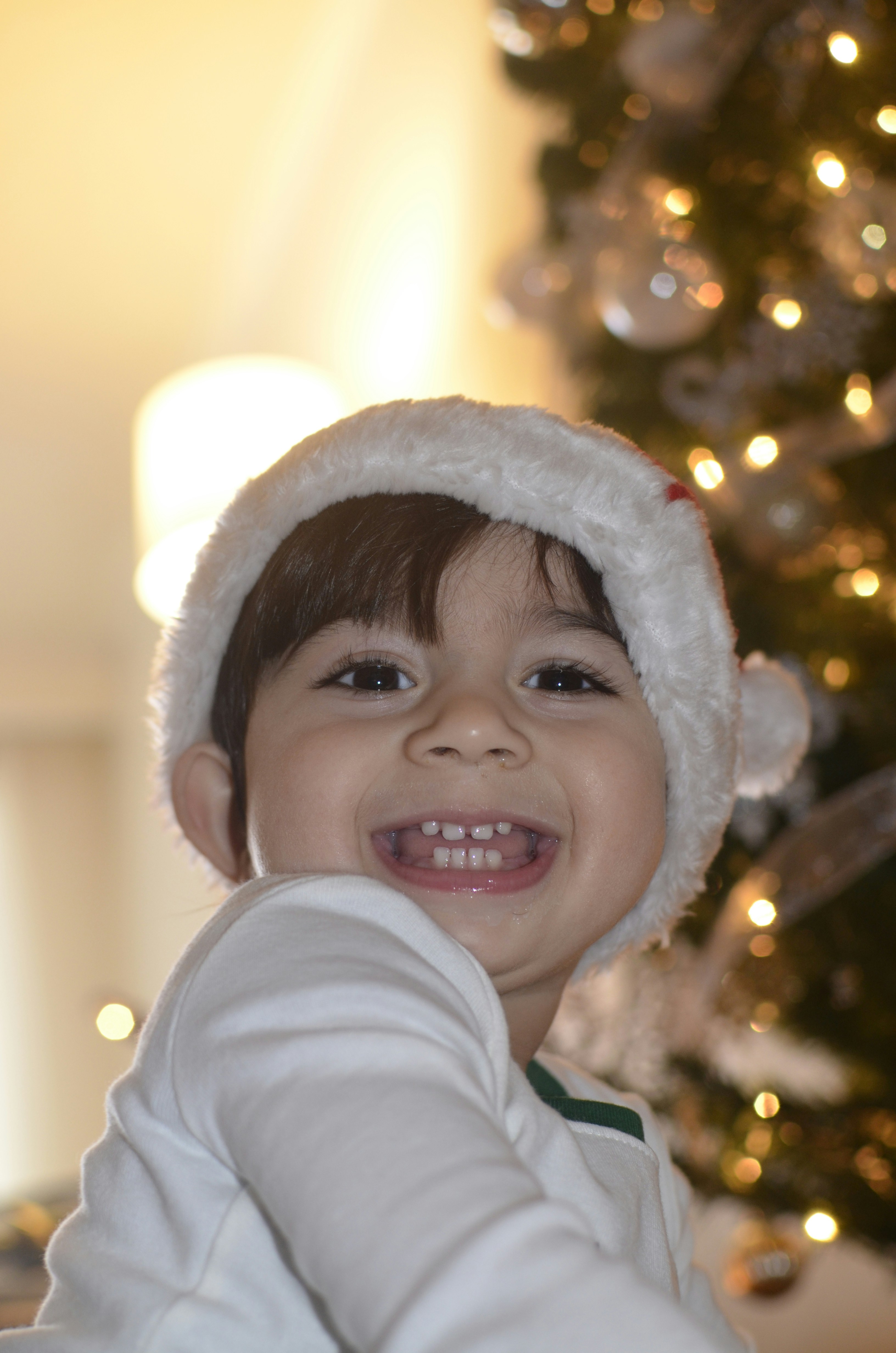 Free Unsplash photo from afsaneh pour