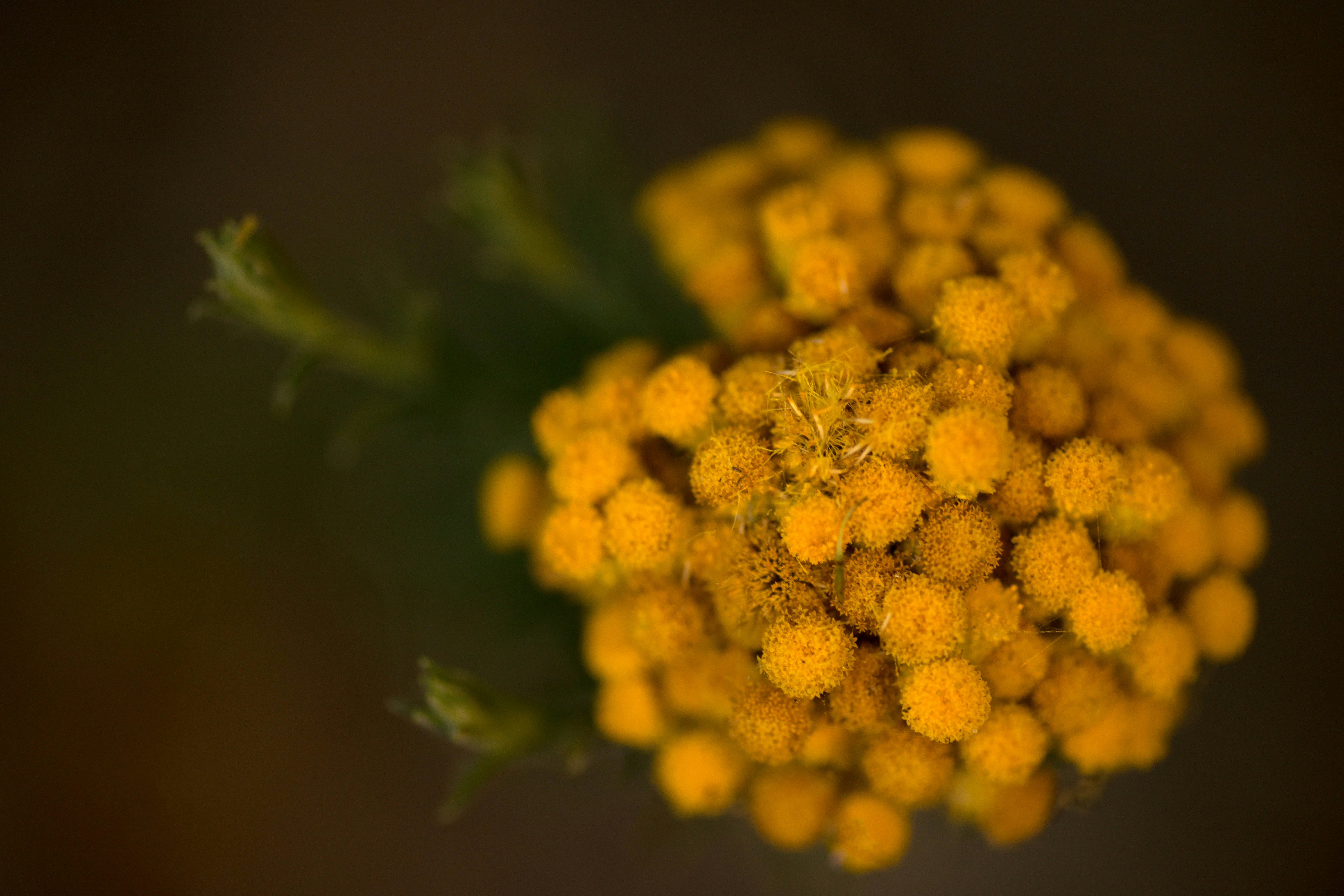 Free Unsplash photo from Aradhika Sharma