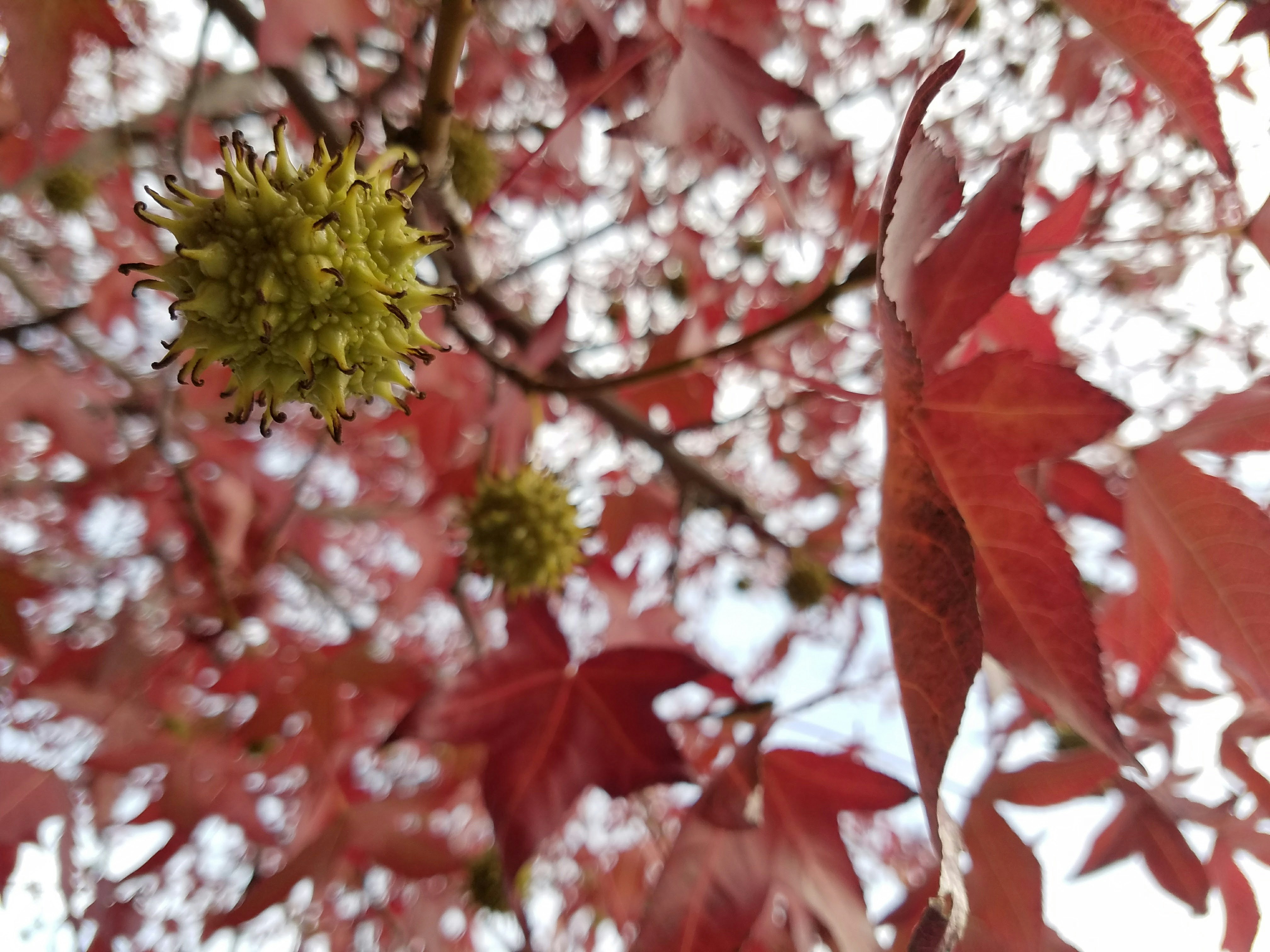 Free Unsplash photo from Garret DePass