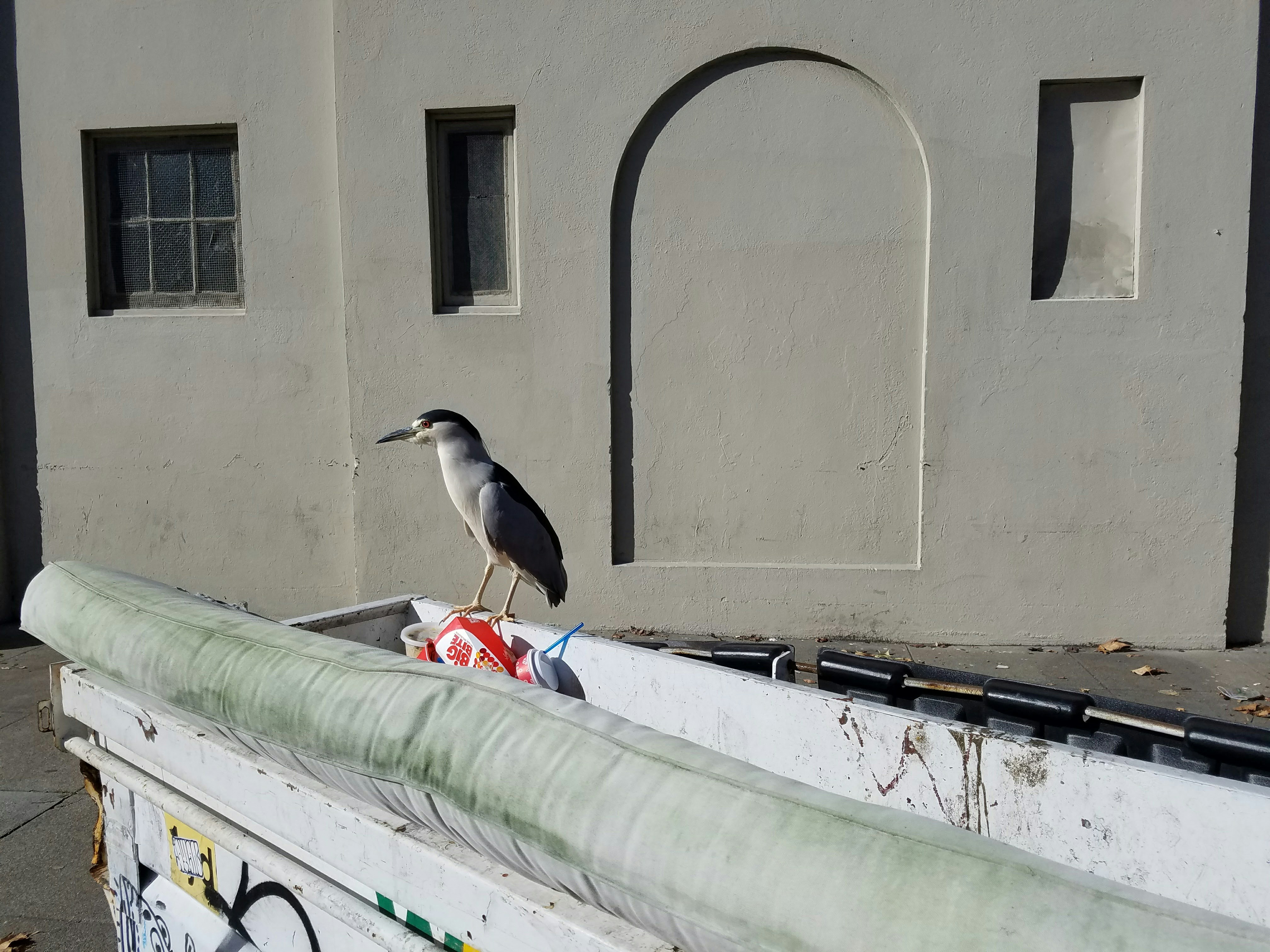 Free Unsplash photo from Garret DePass