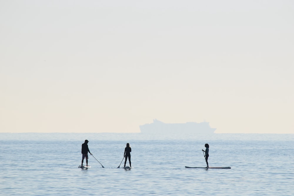 people riding on paddle boards
