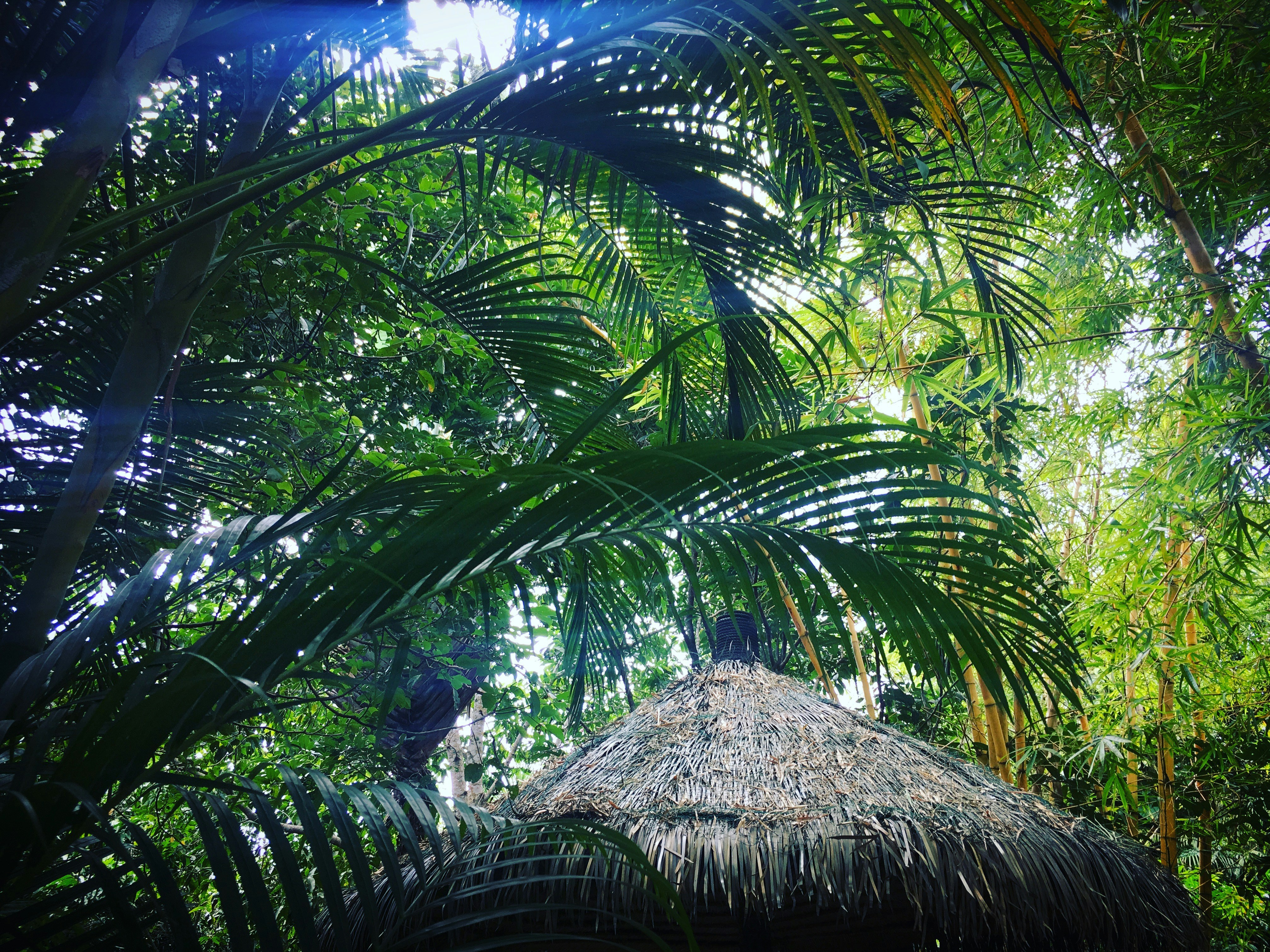 Free Unsplash photo from ada wang