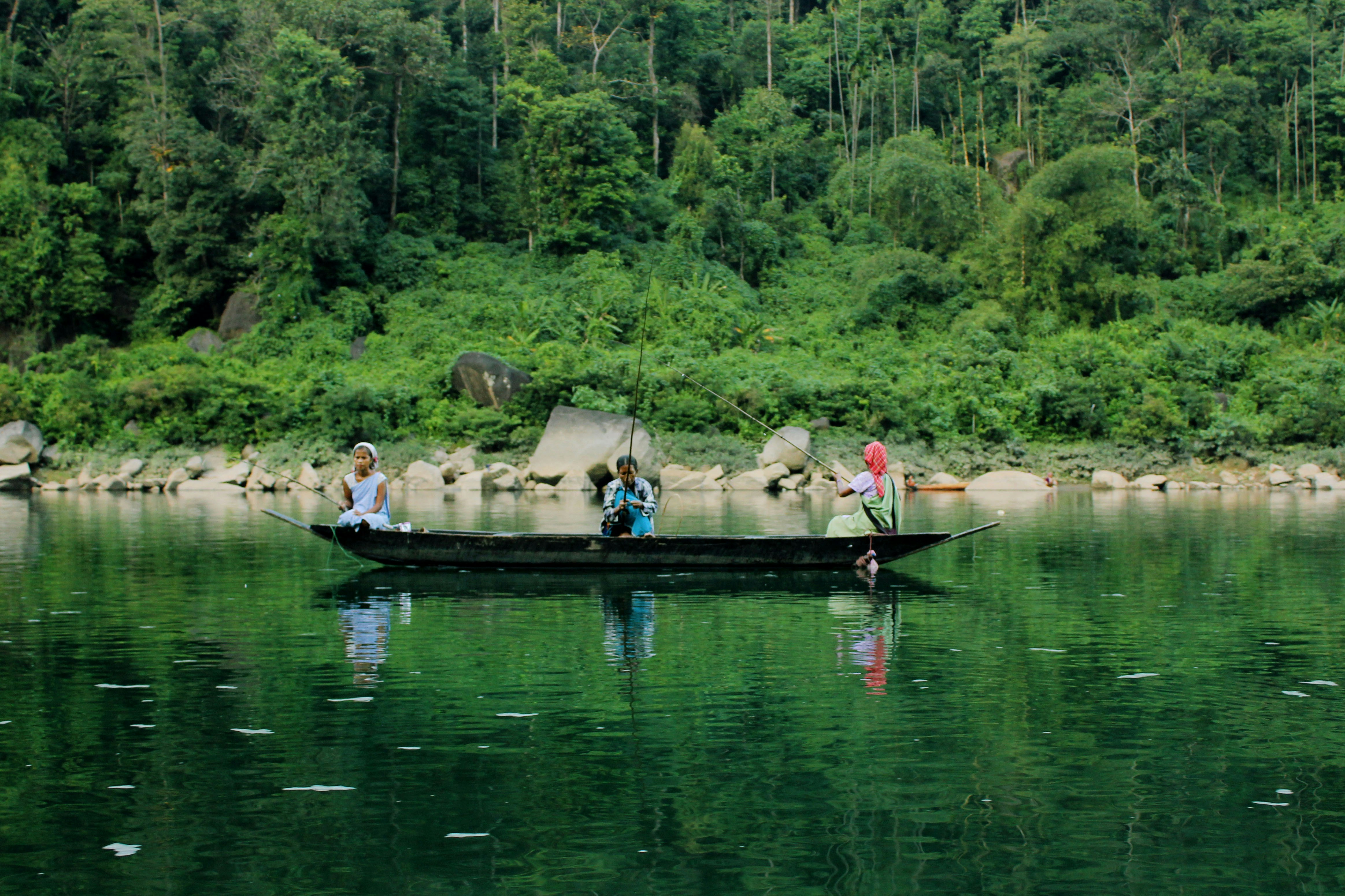 Free Unsplash photo from Mrinalini Saha