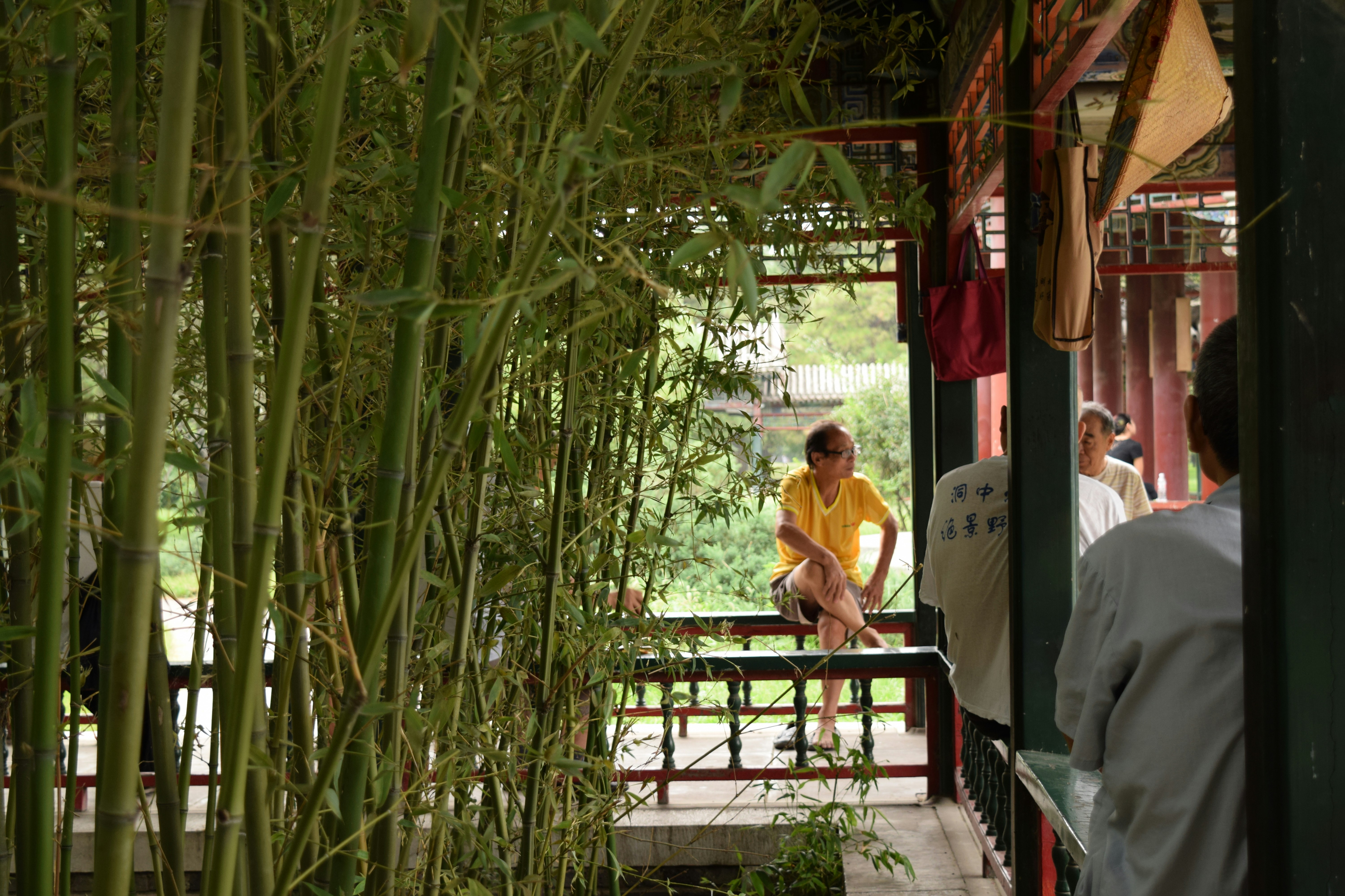 Free Unsplash photo from Mariana Martinez