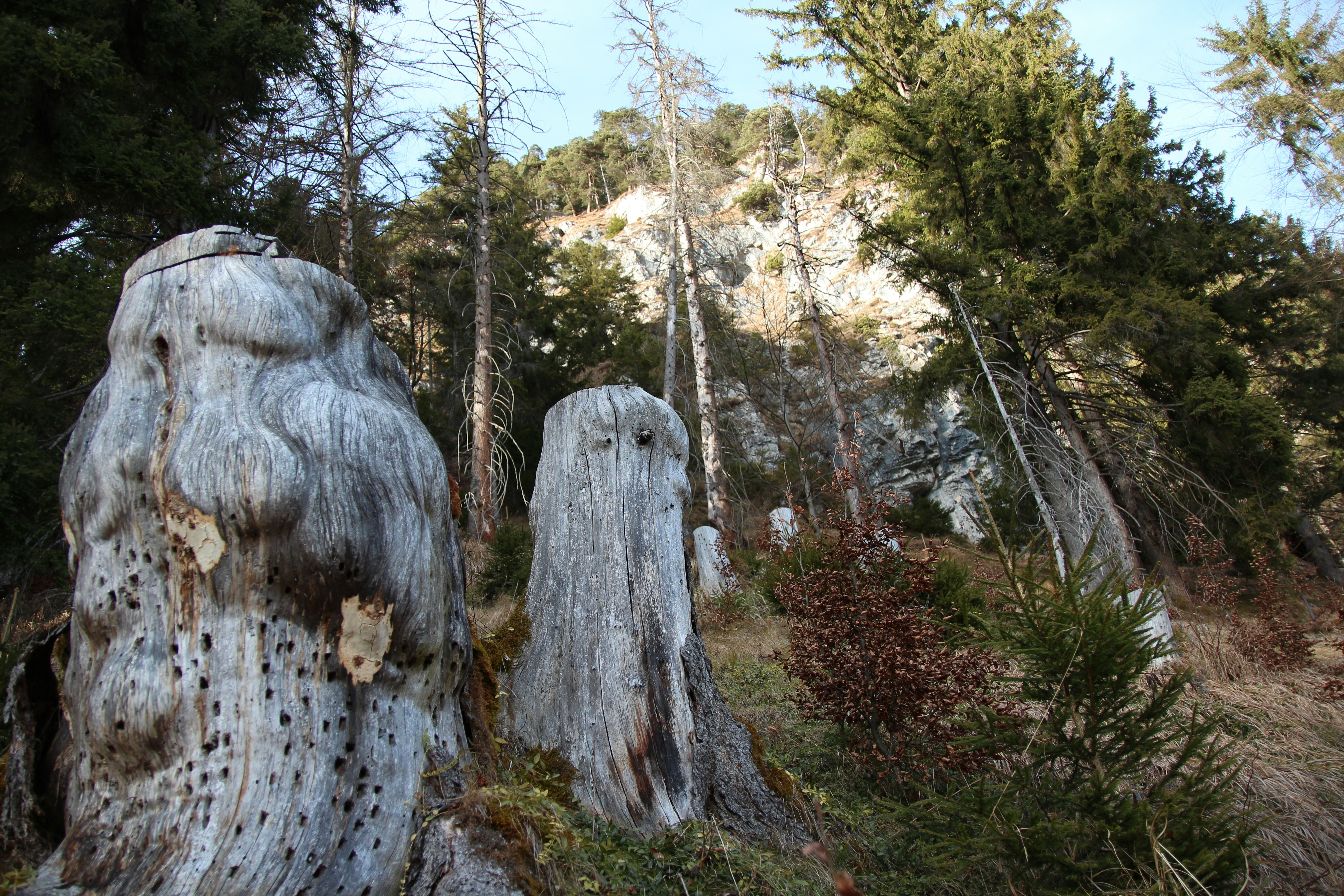 Free Unsplash photo from Nico Benedickt