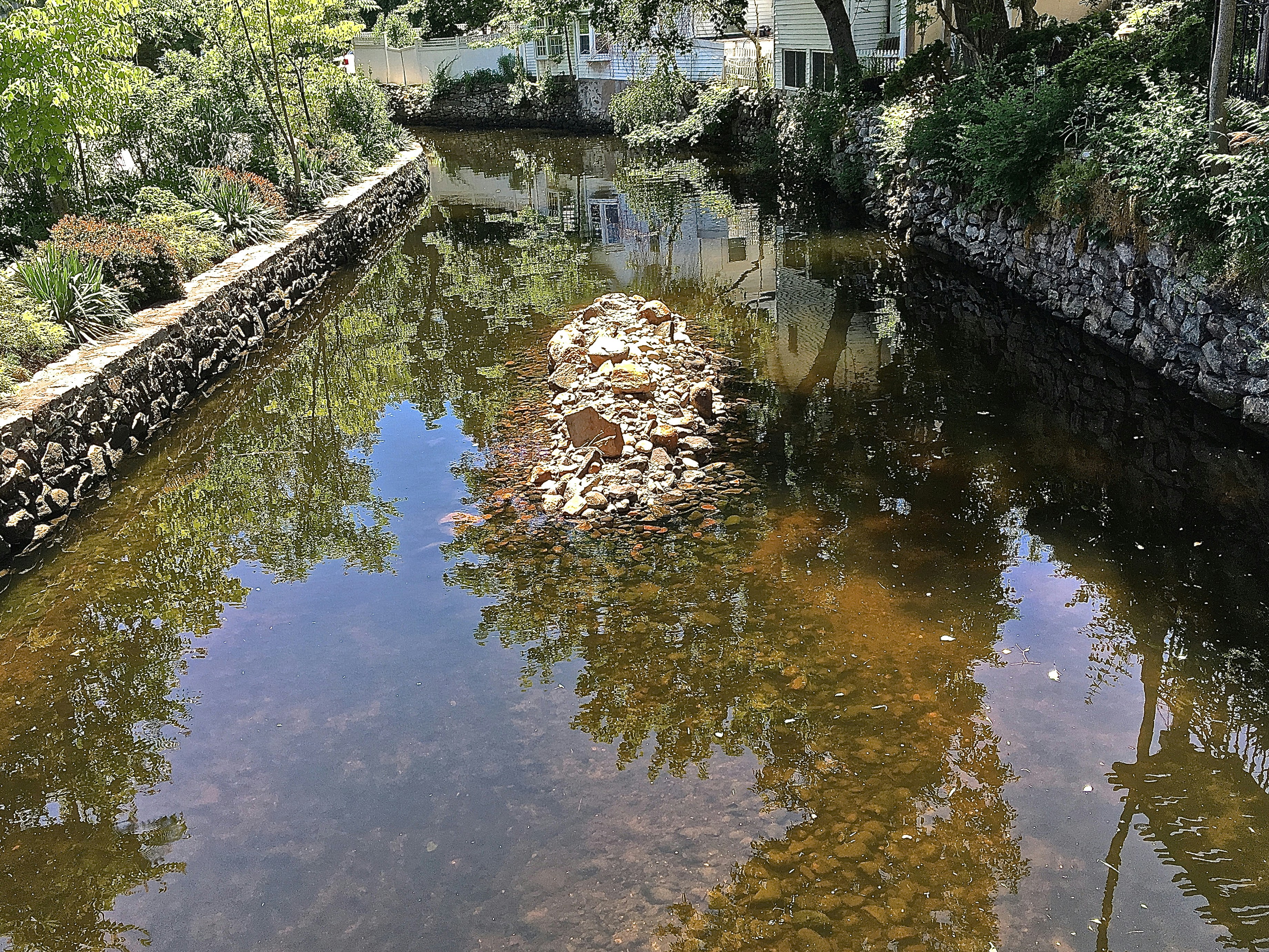 Free Unsplash photo from Jd Dworkow