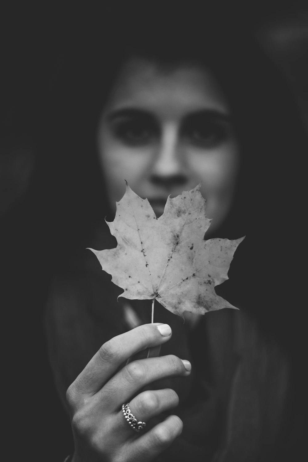 grayscale photography of maple leaf