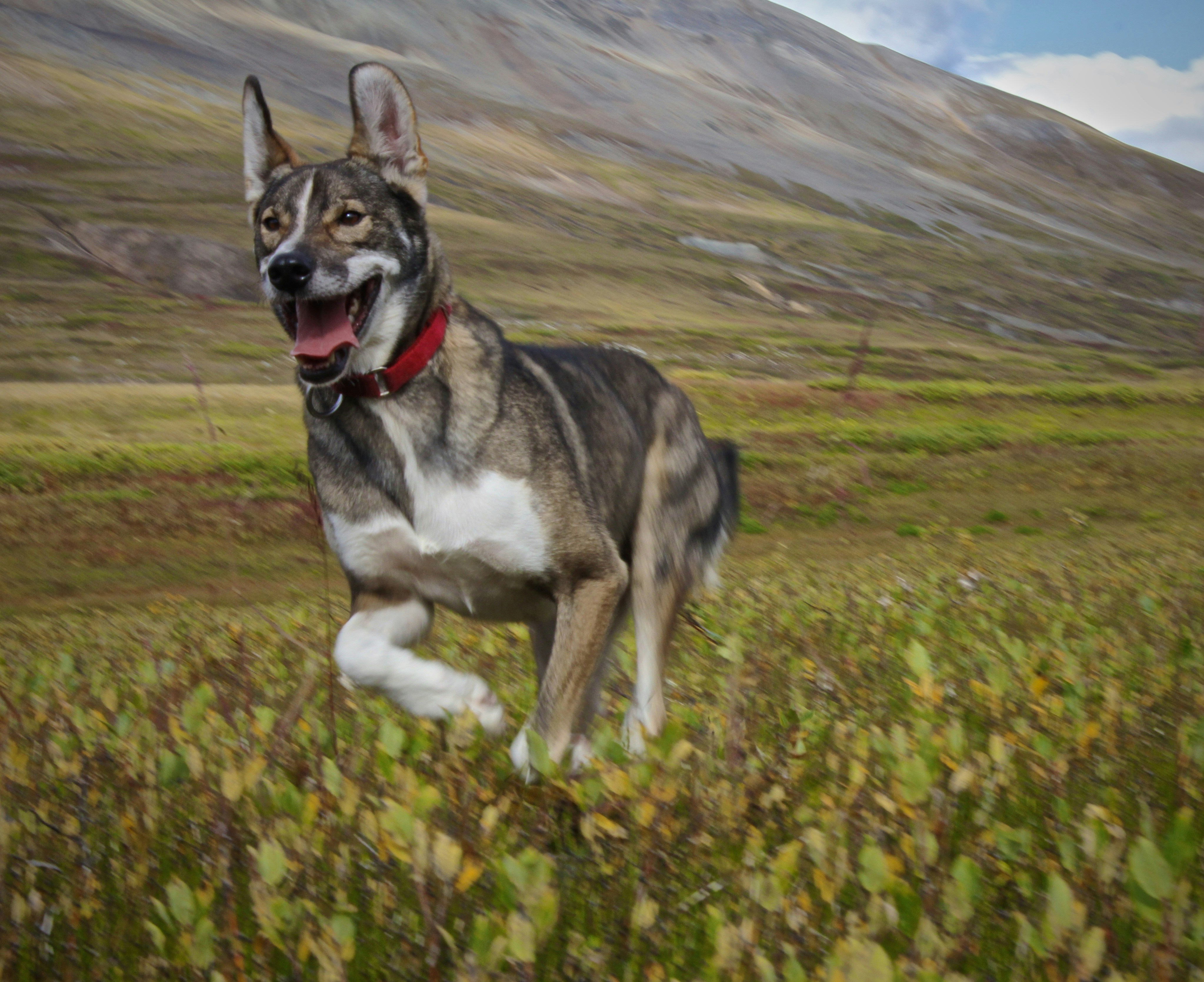 Free Unsplash photo from Greg Sellentin