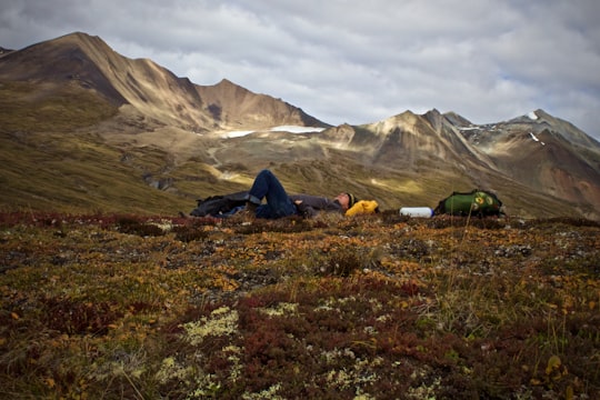 man lying on plant field near mountains in Yukon Territory Canada