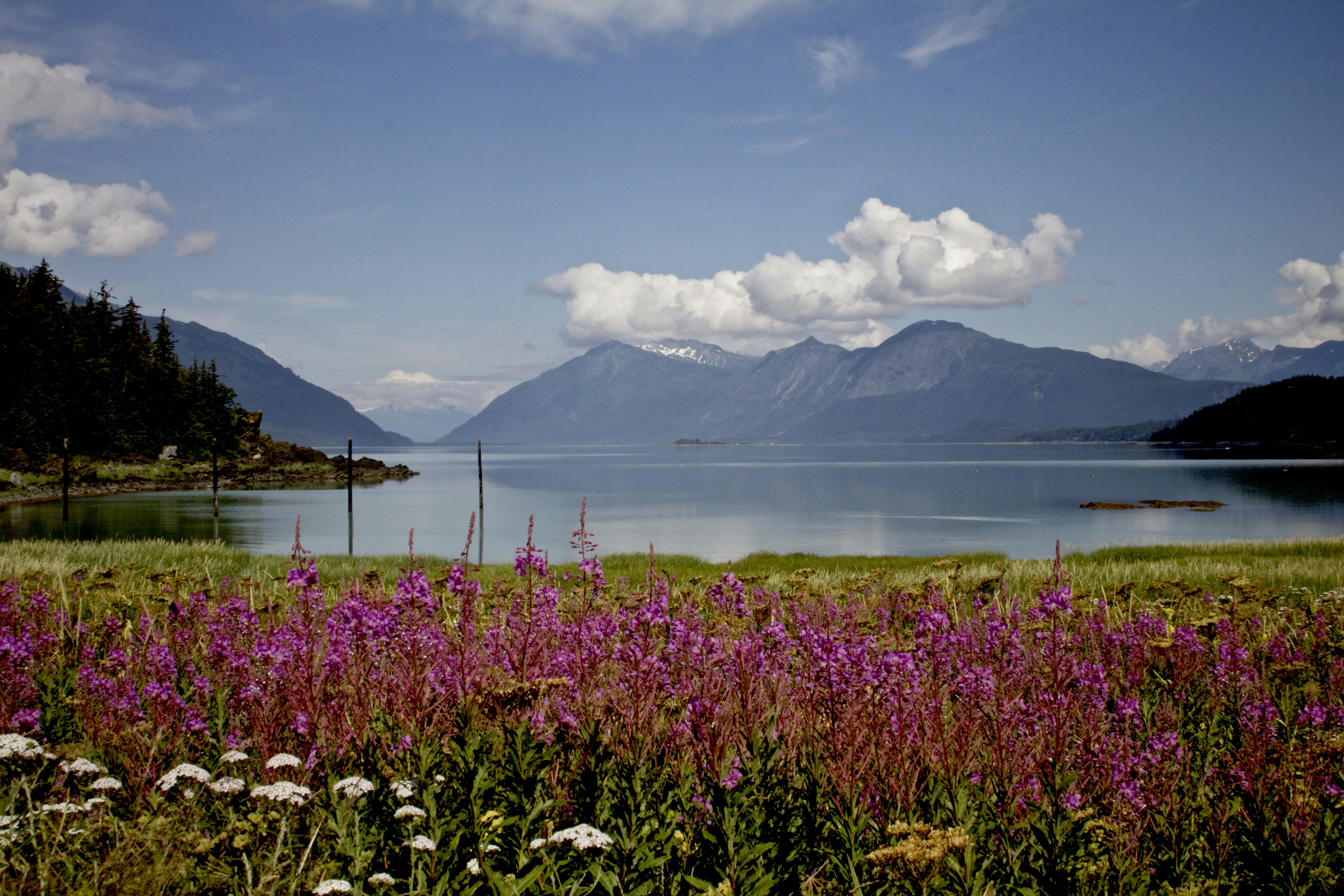 Free Unsplash photo from Greg Sellentin