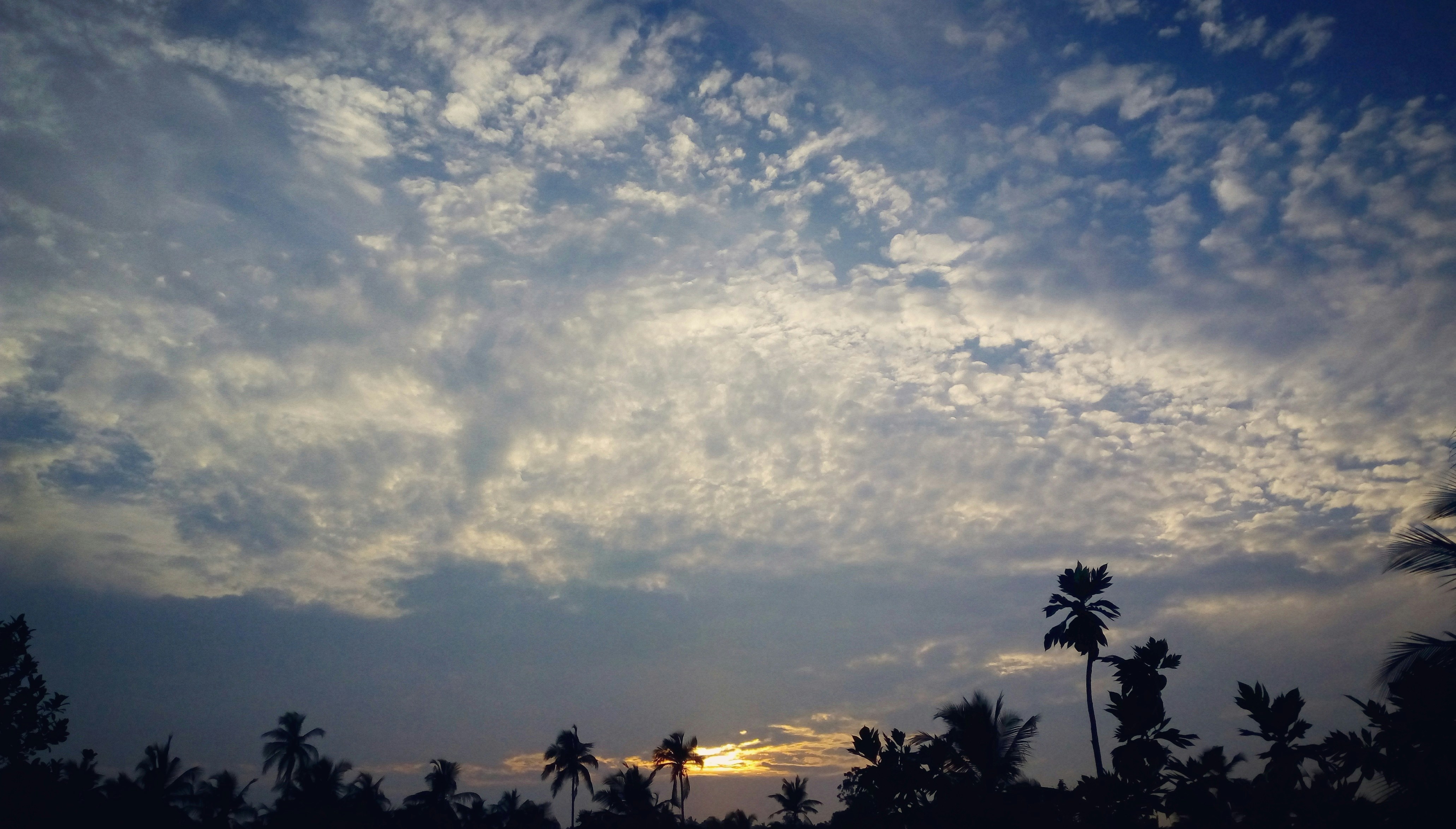 Free Unsplash photo from Kevin Amaratunga