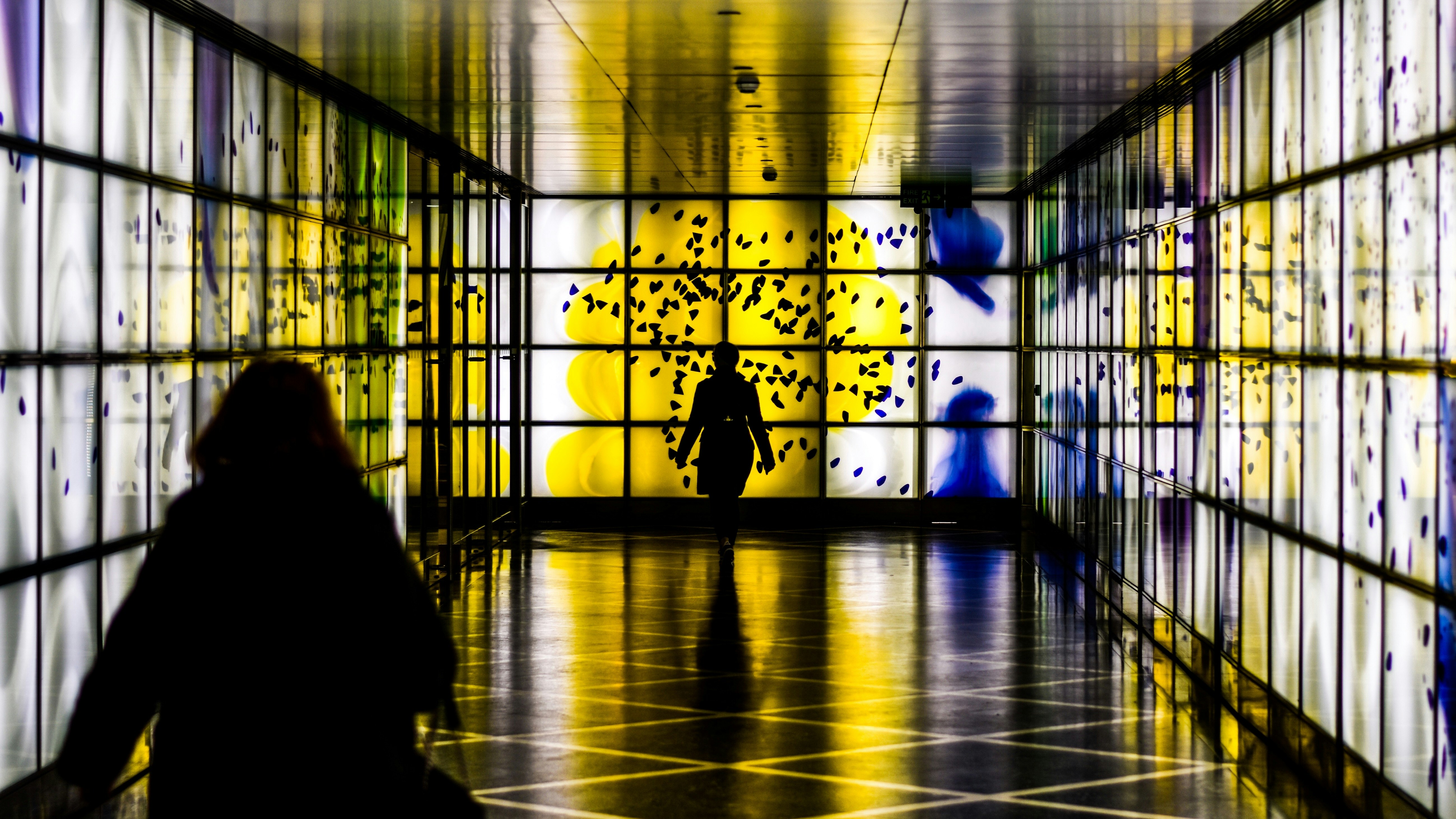 silhouette photography of person walking in room