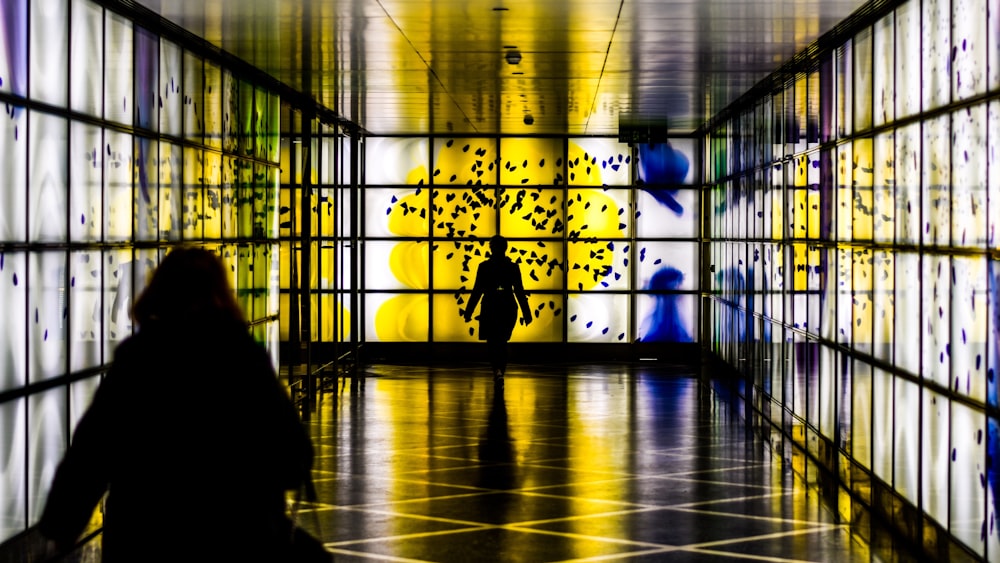 silhouette photography of person walking in room