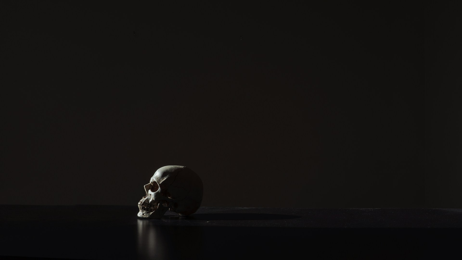 human skull on black background