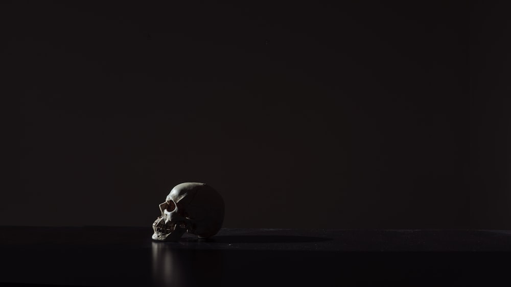 human skull on black background