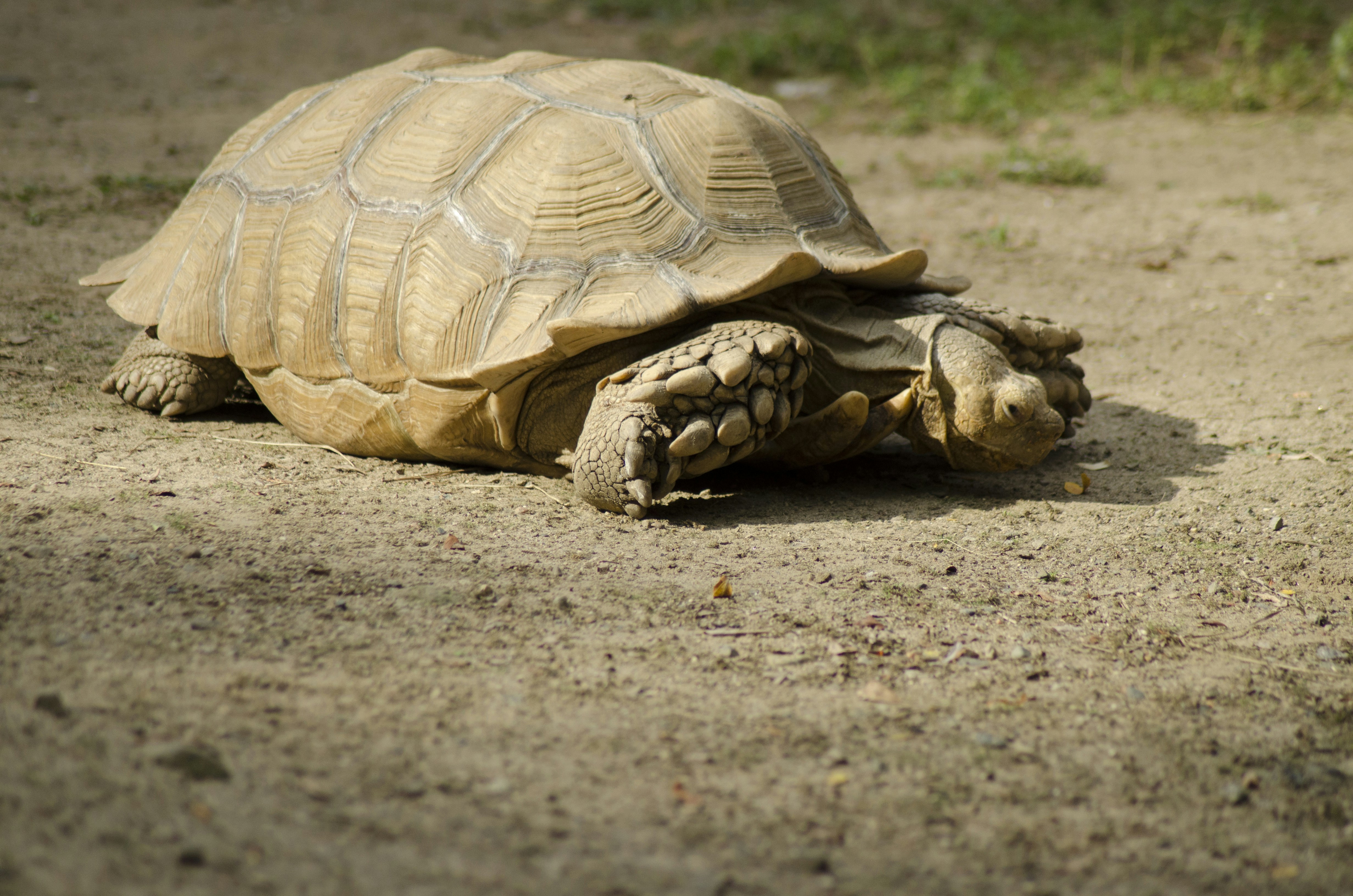 Free Unsplash photo from Nicole Anderson