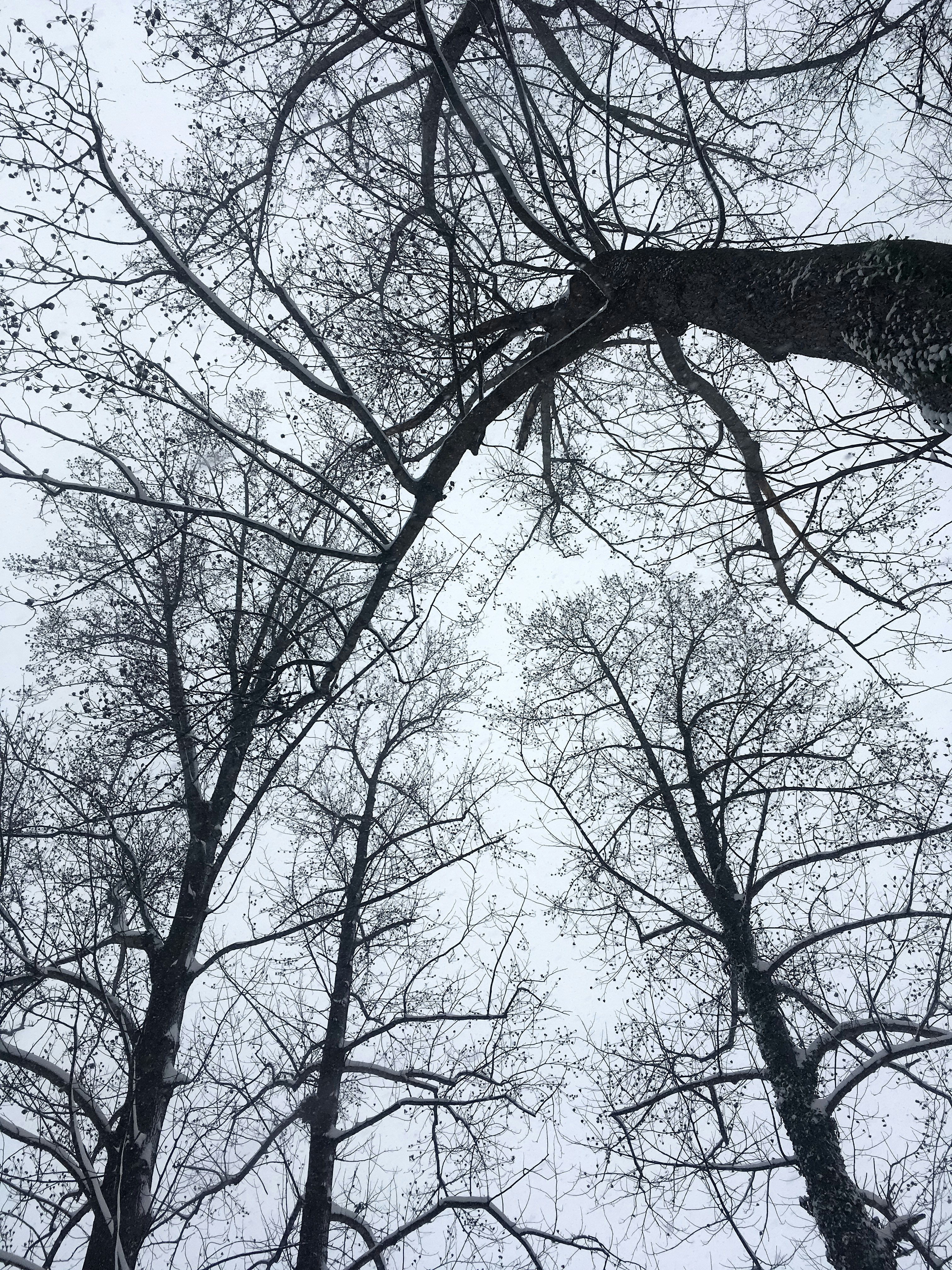 Free Unsplash photo from Emily King