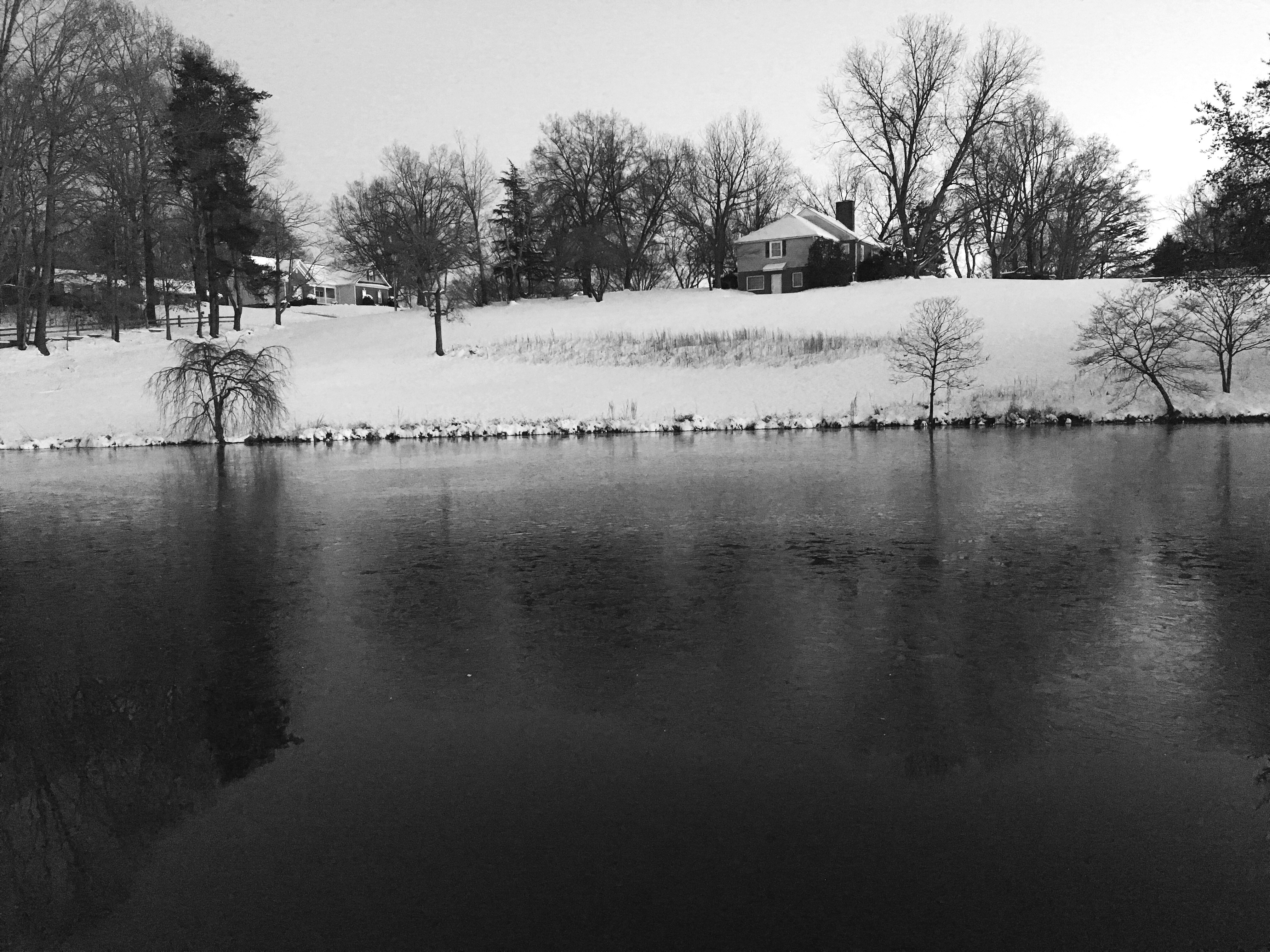 Free Unsplash photo from Emily King