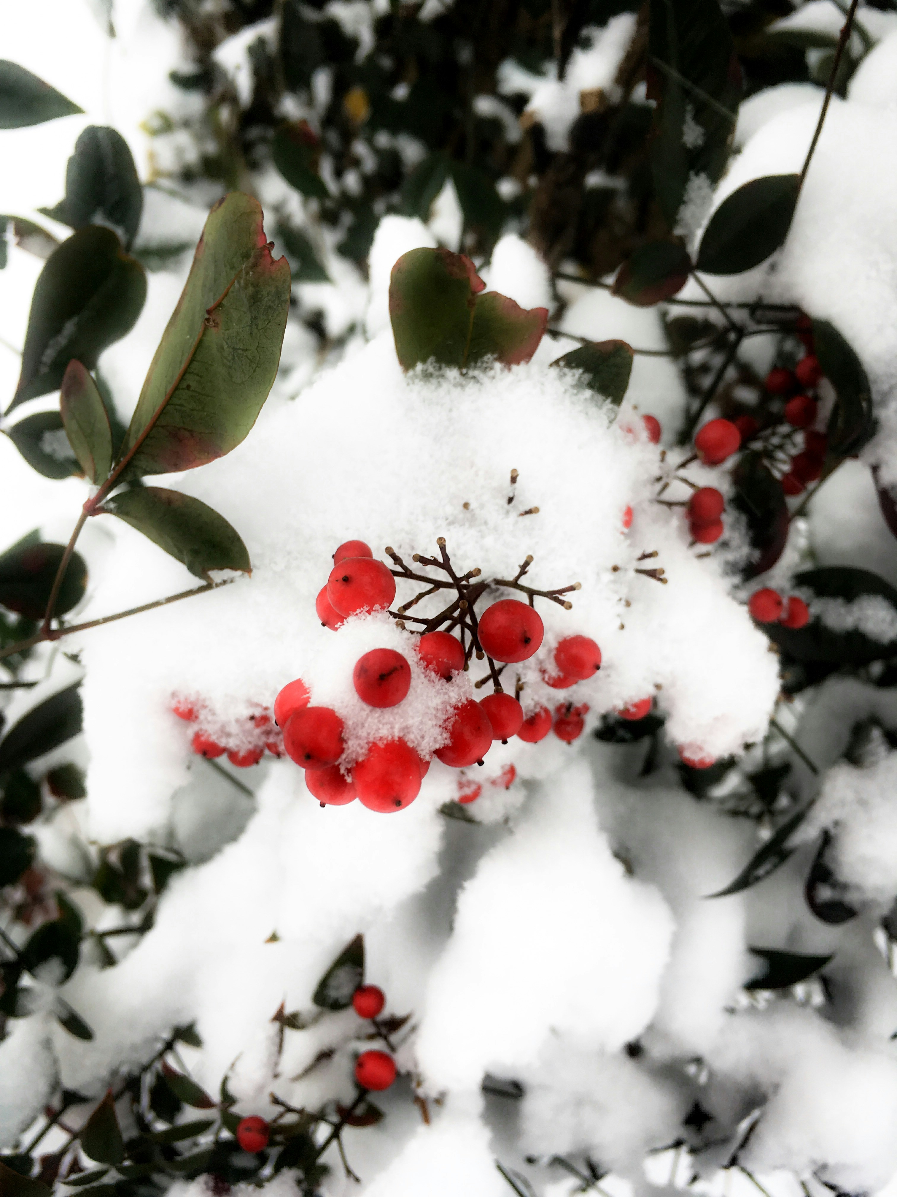 Free Unsplash photo from Emily King