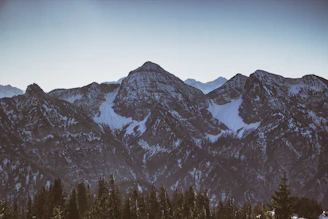 A majestic mountain range under a clear blue sky, with pine trees in the foreground.