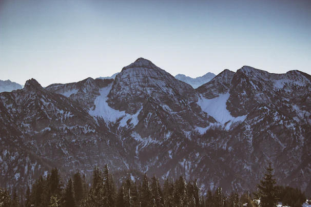 A majestic mountain range under a clear blue sky, with pine trees in the foreground.