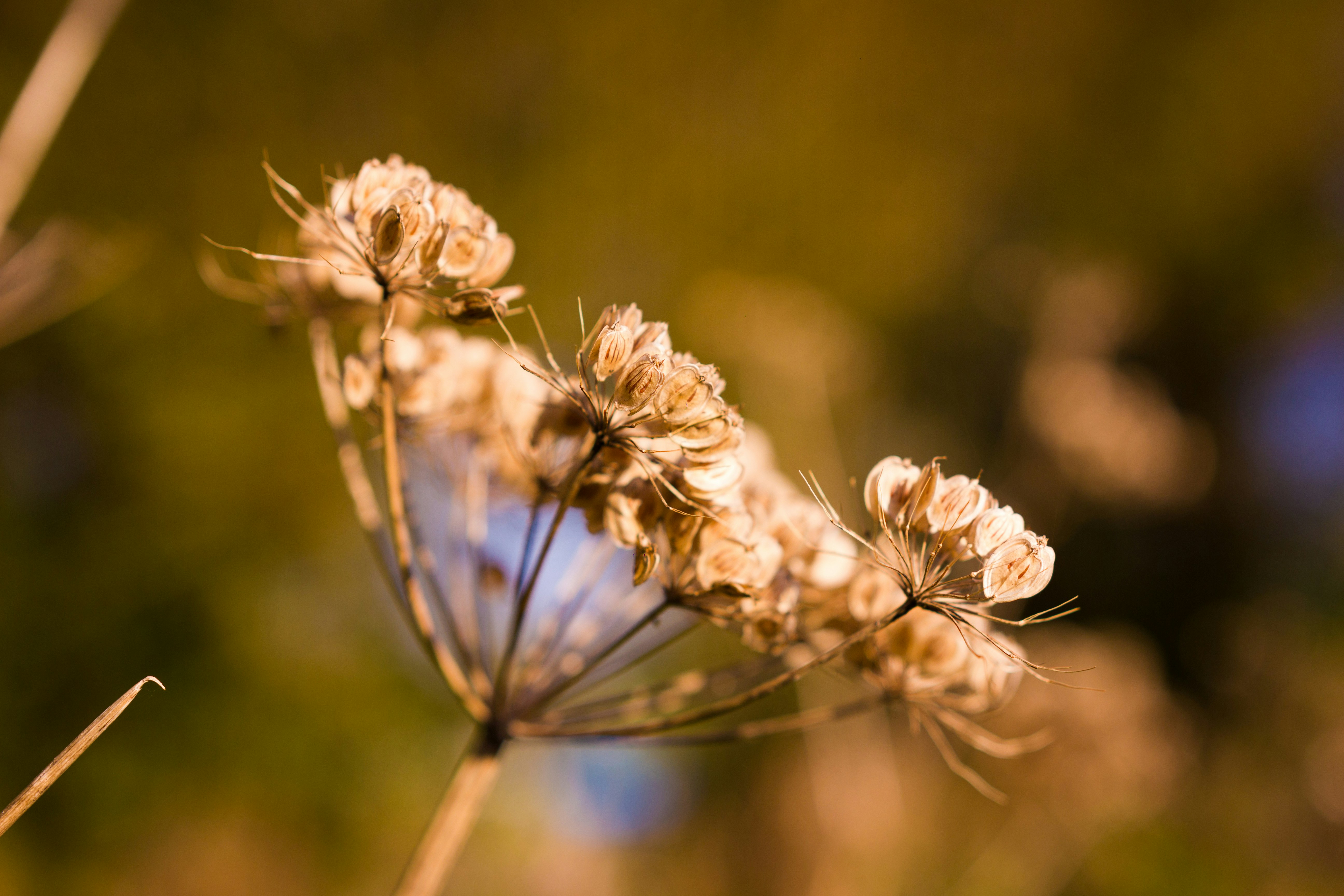 Free Unsplash photo from Kurt Mathisen