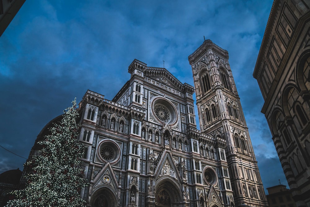 worm's eye view of vintage cathedral