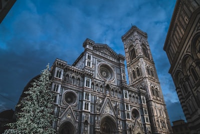 worm's eye view of vintage cathedral