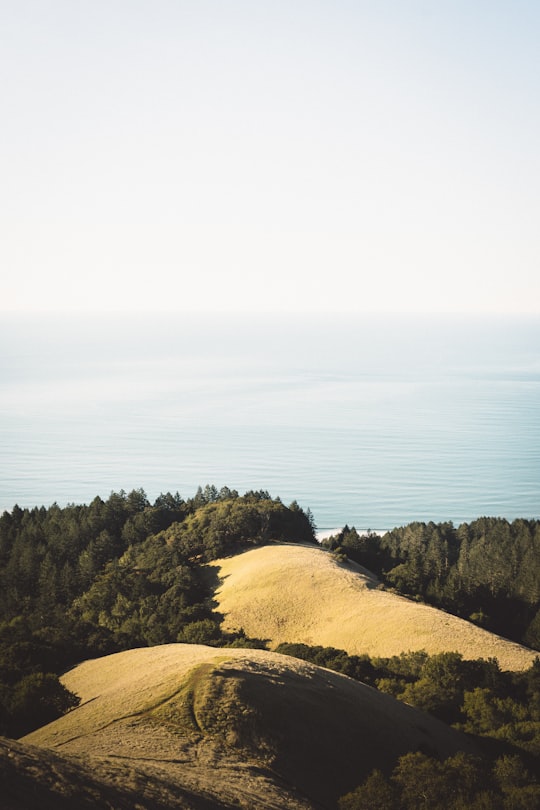 aerial view photography of brown mountain surrounded by body of water in Mount Tamalpais United States